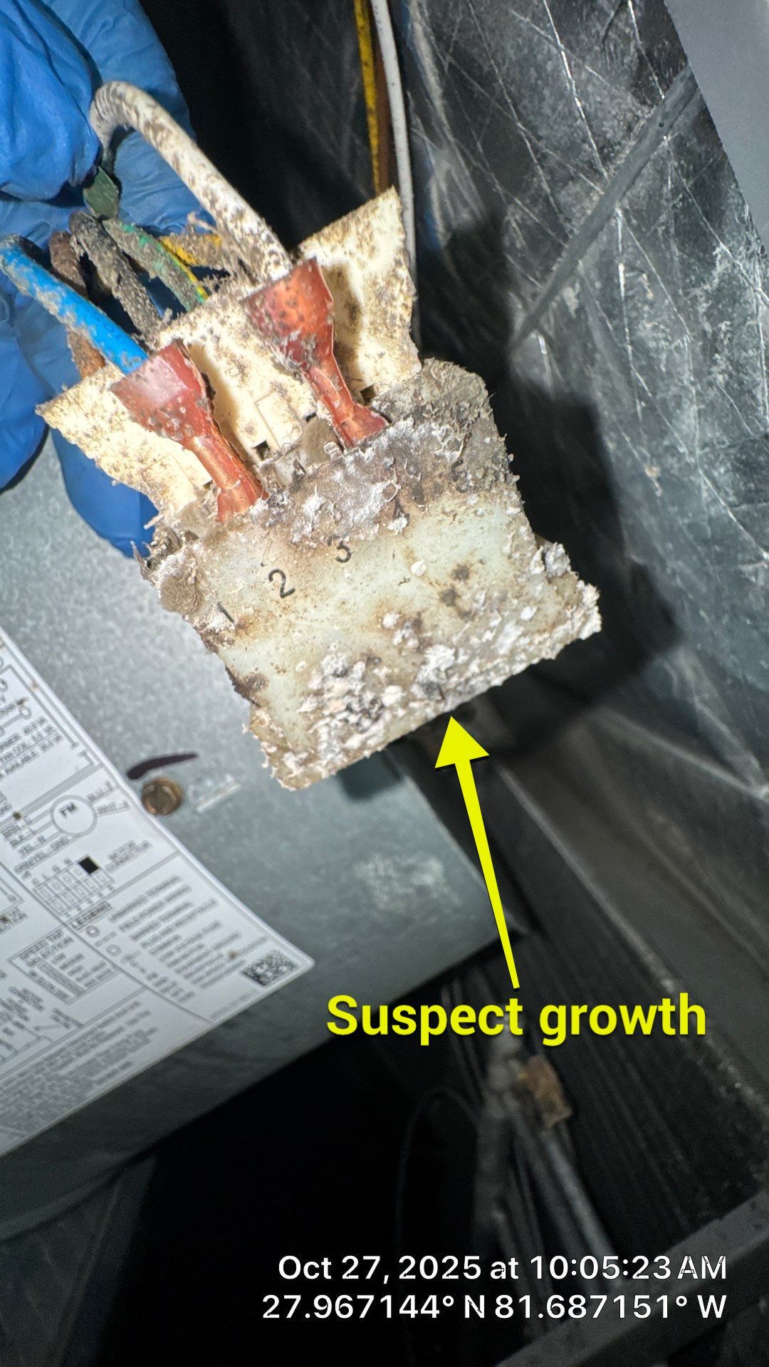 Air Duct and Dryer Vent Cleaning in Winter Garden by Hygienic Air, Inc