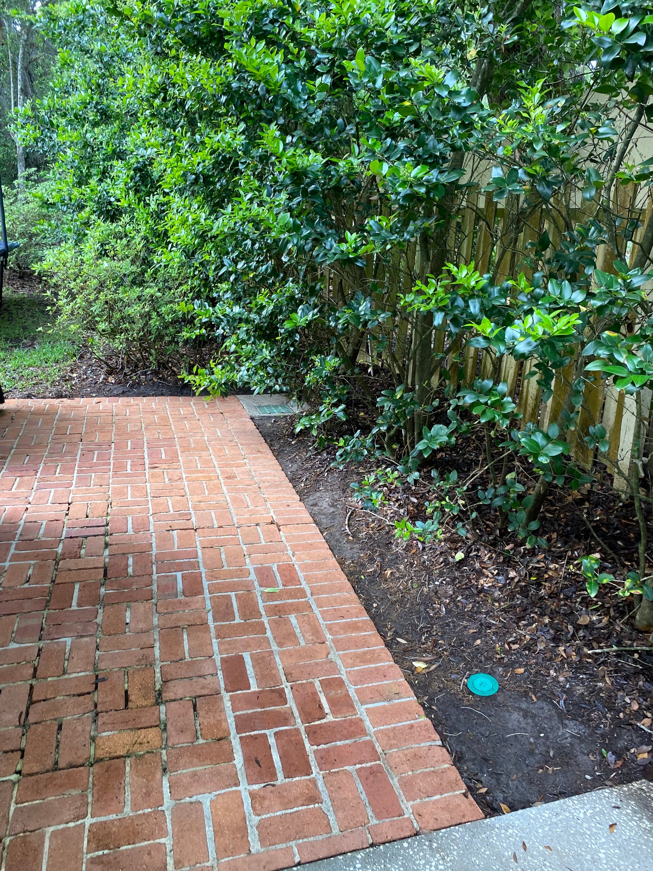 Deerwood Resident | Pine Straw Installation by ProGreen Services