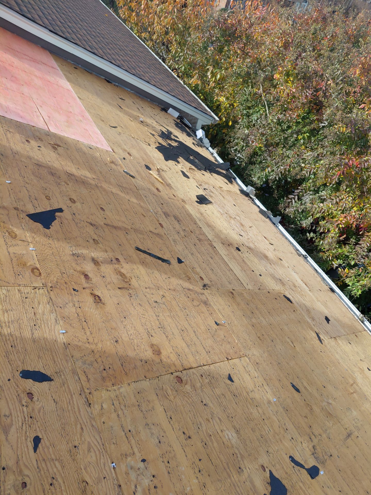 Alexandria : Residential Roof Replacement with CertainTeed Landmark Pro in Max Def Weathered Wood by RM Banning, Inc.