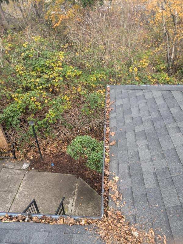 HOA gutter cleaning before photo.