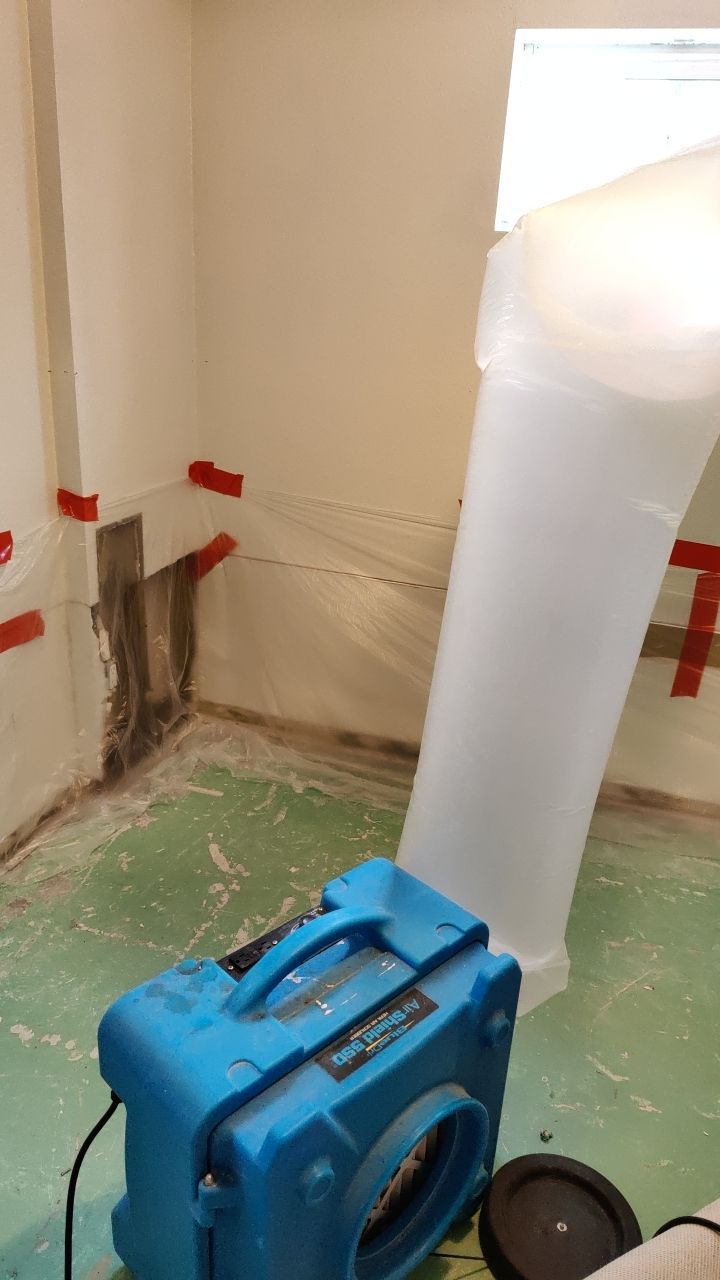 Mold Remediation by Accountable Home Services