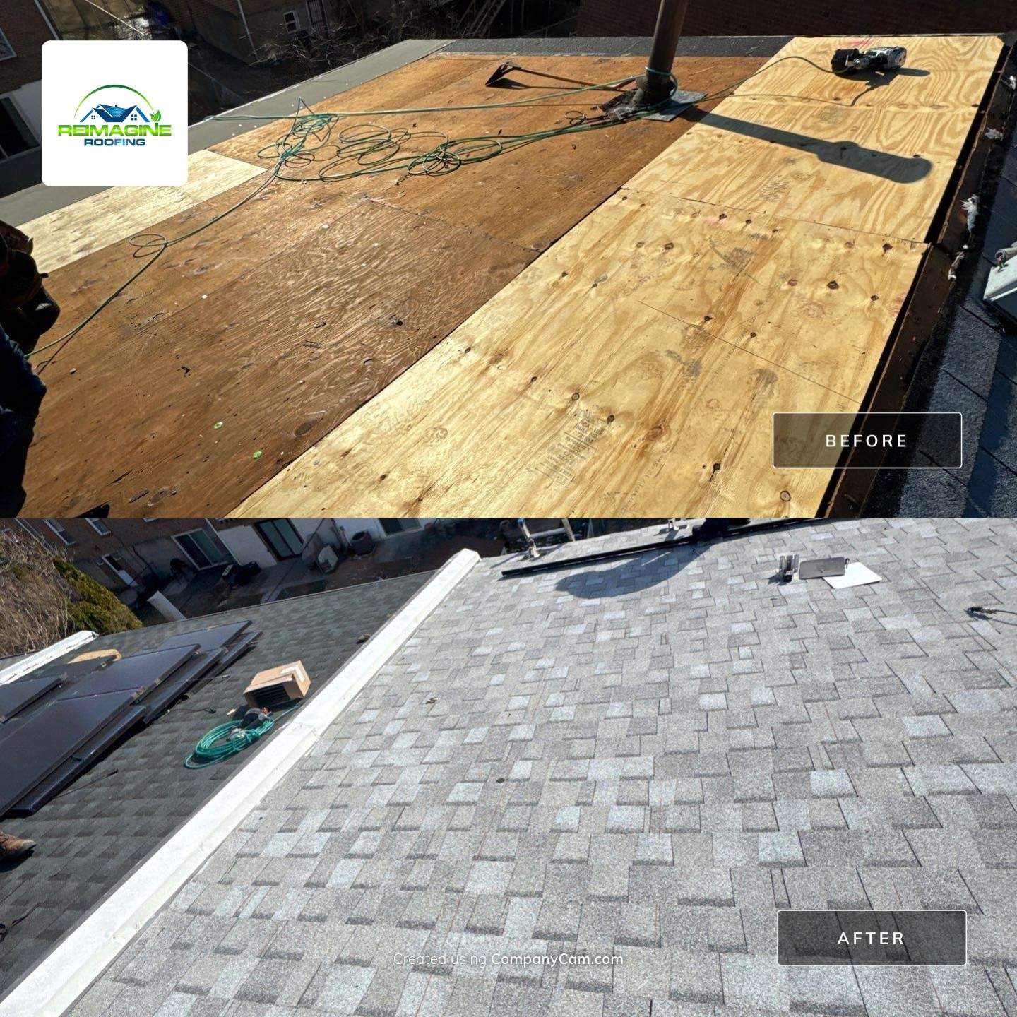 Silver Birch Shingles by Reimagine Roofing