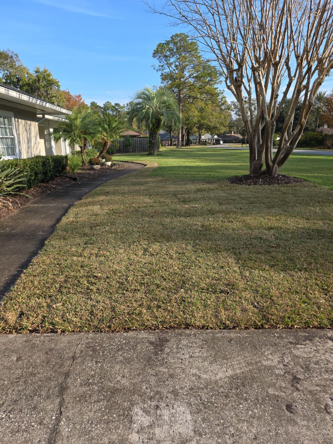 Deerwood Resident | Winter Sod Replacement by ProGreen Services
