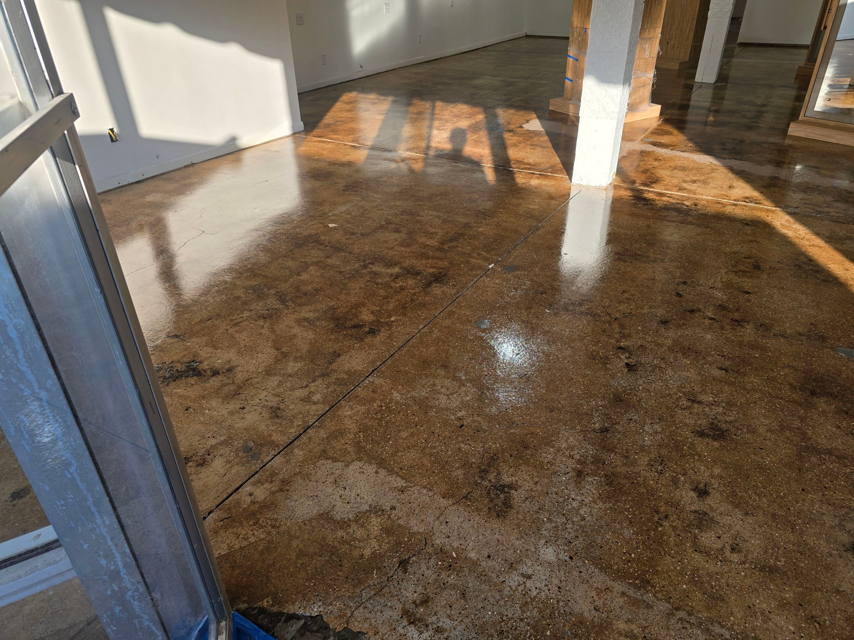 Grind & Seal Commercial Upgrade by Elite Floor Solutions