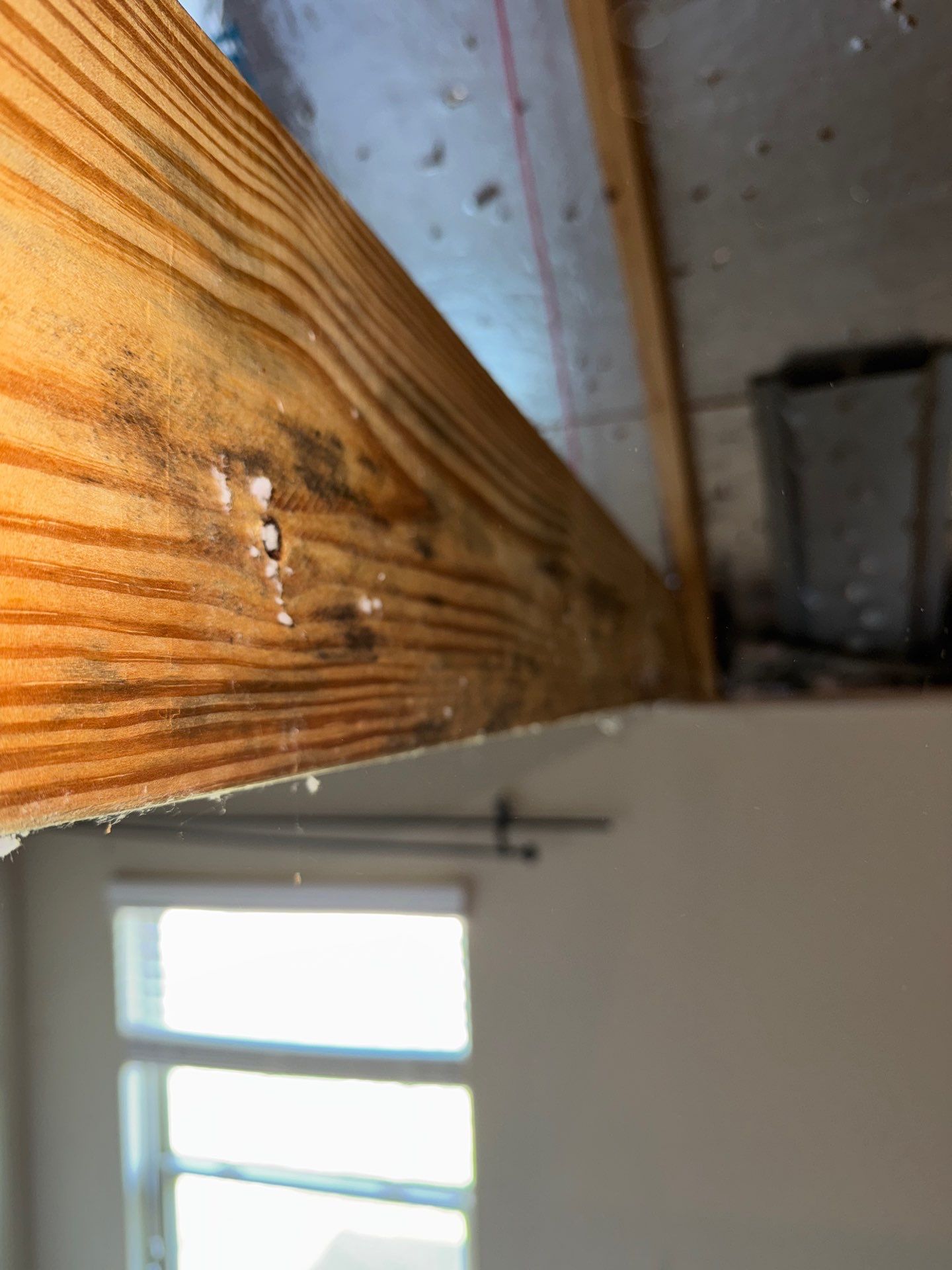 Mold Remediation Job in Katy by Team Home Solutions