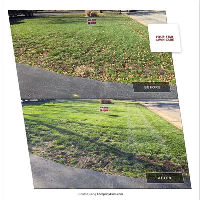 Project in Eastborough