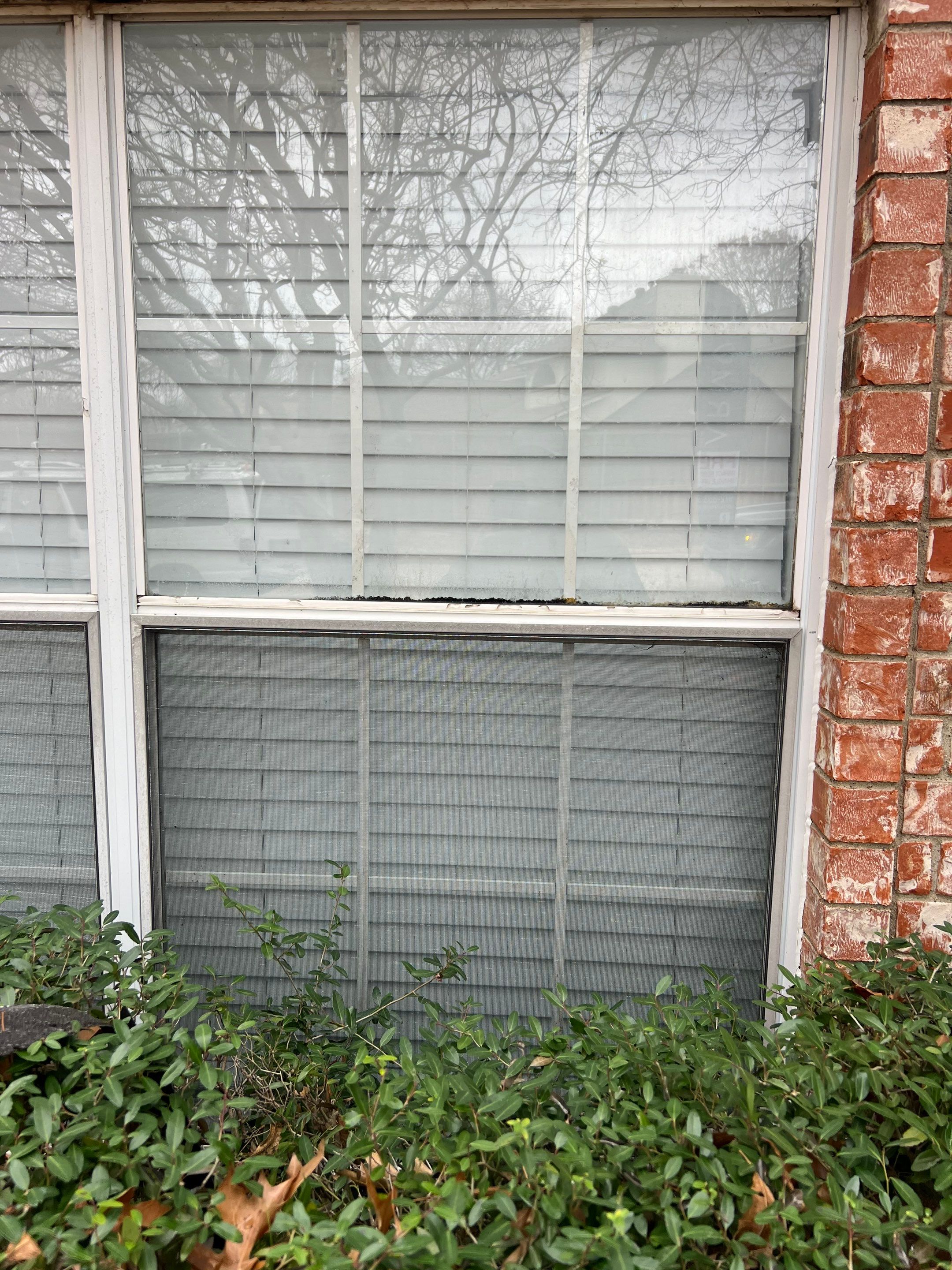 Project in Allen by Armor Roofing | Exteriors