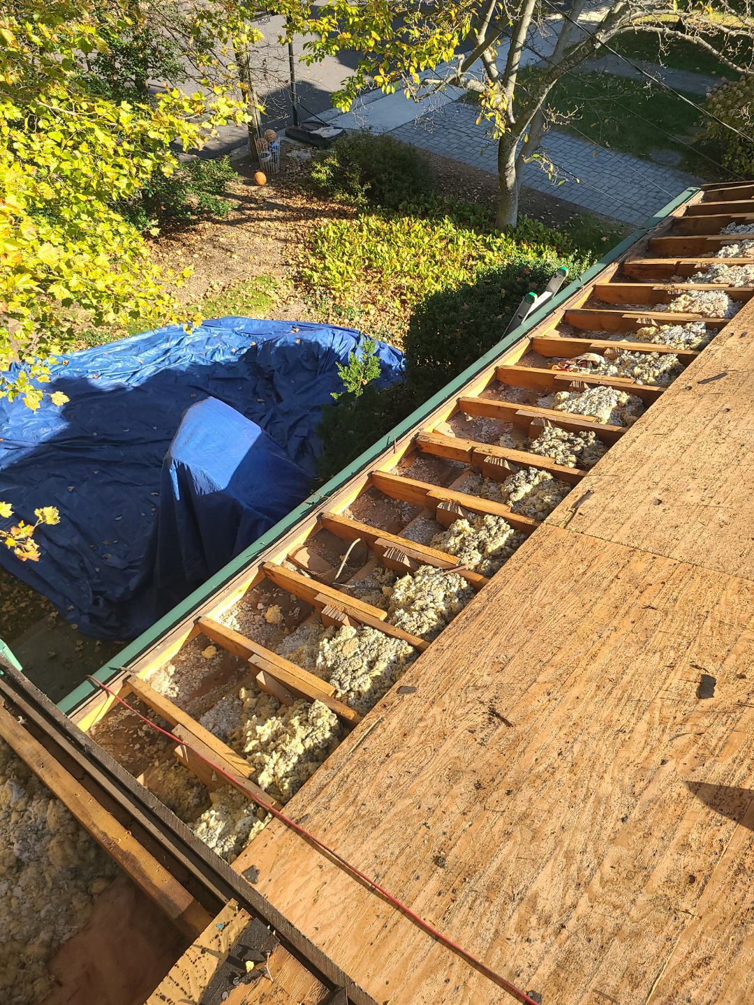 Arlington: Residential Roof Replacement with CertainTeed Landmark Pro Designer Shingles in Max Def Charcoal Black by RM Banning, Inc.