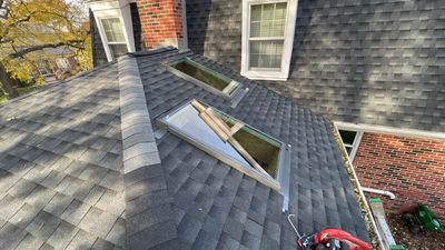 Skylight replacement 