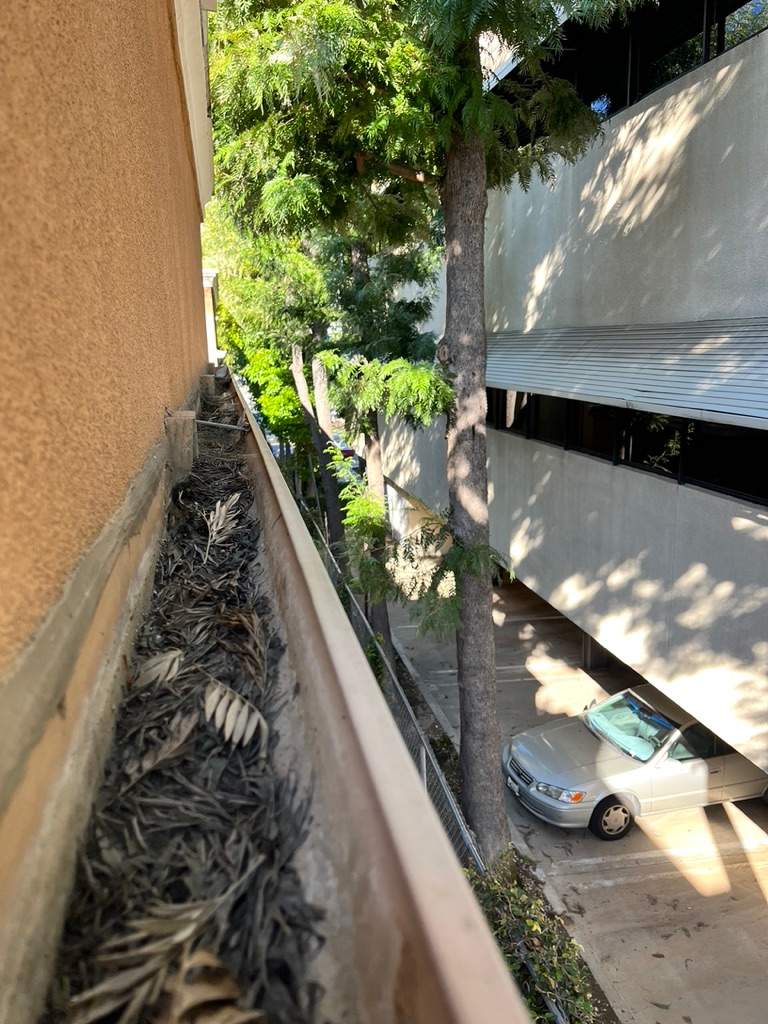 HOA Gutter Cleaning South Mentor Ave Pasadena by Palm Coast Solar Cleaning