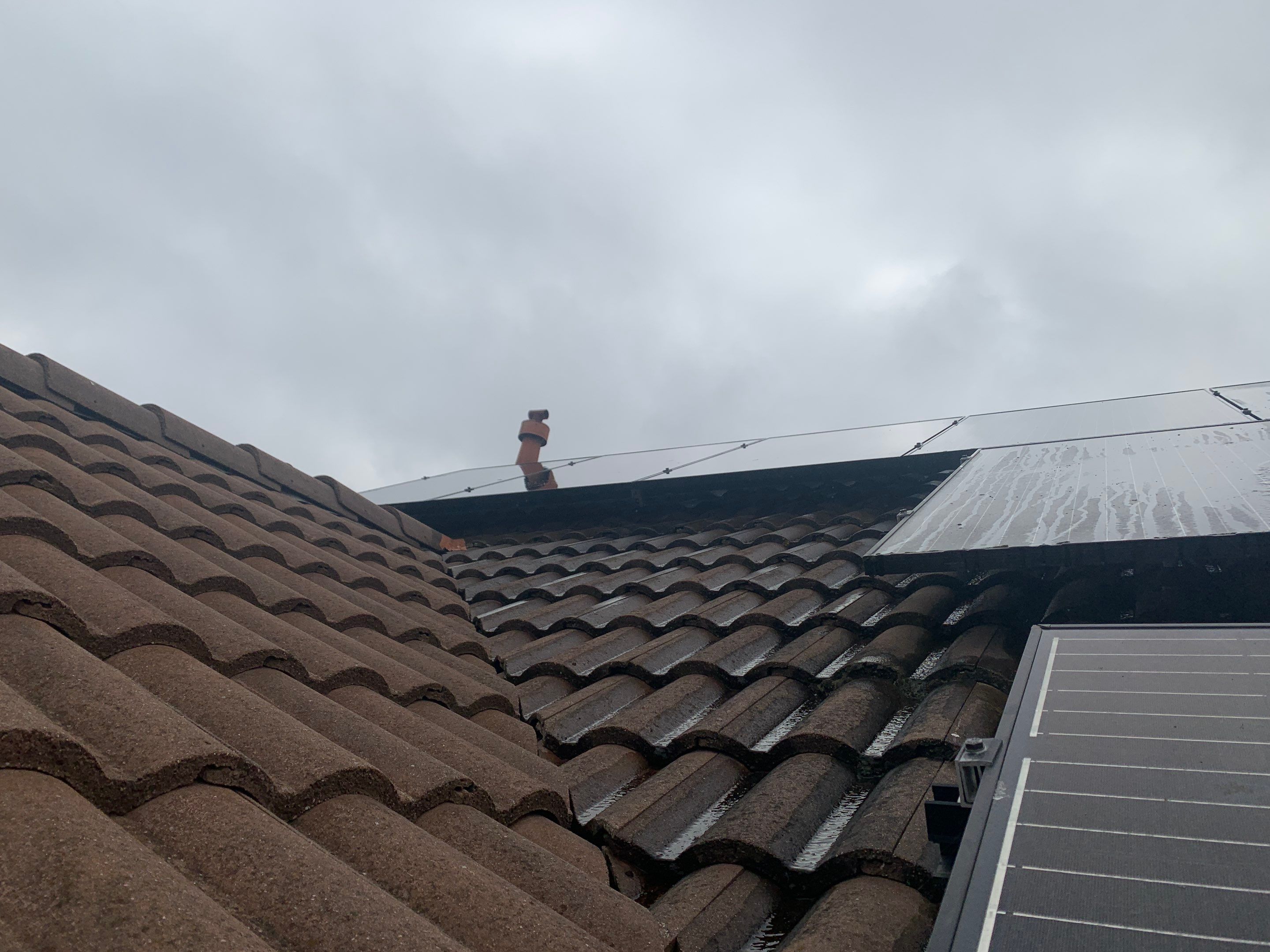 Rahul Prasad by SpotFree Window Cleaning