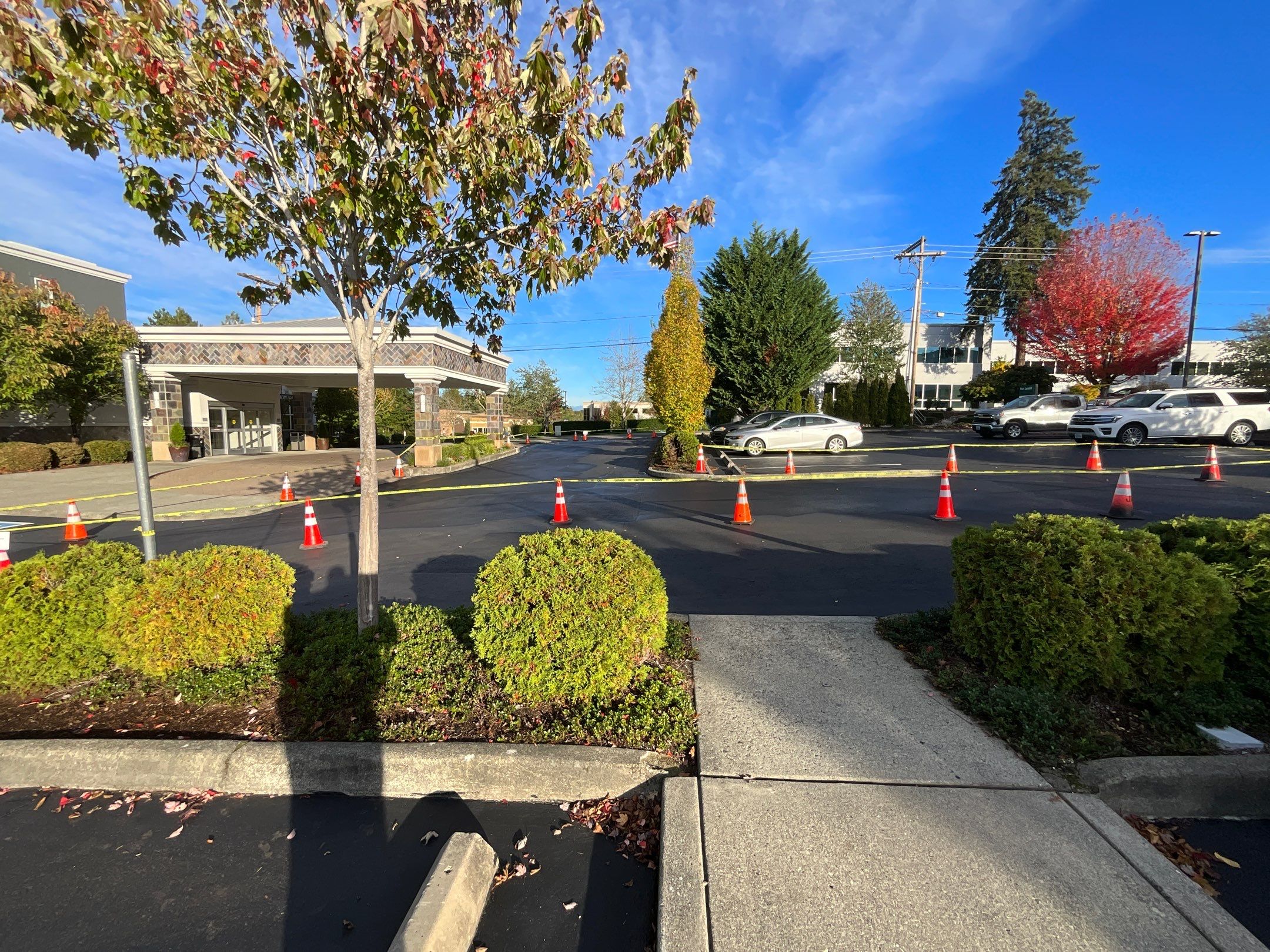 Maggie | Patch Repair, Sealcoating and Striping by Jireh Asphalt & Concrete Inc 