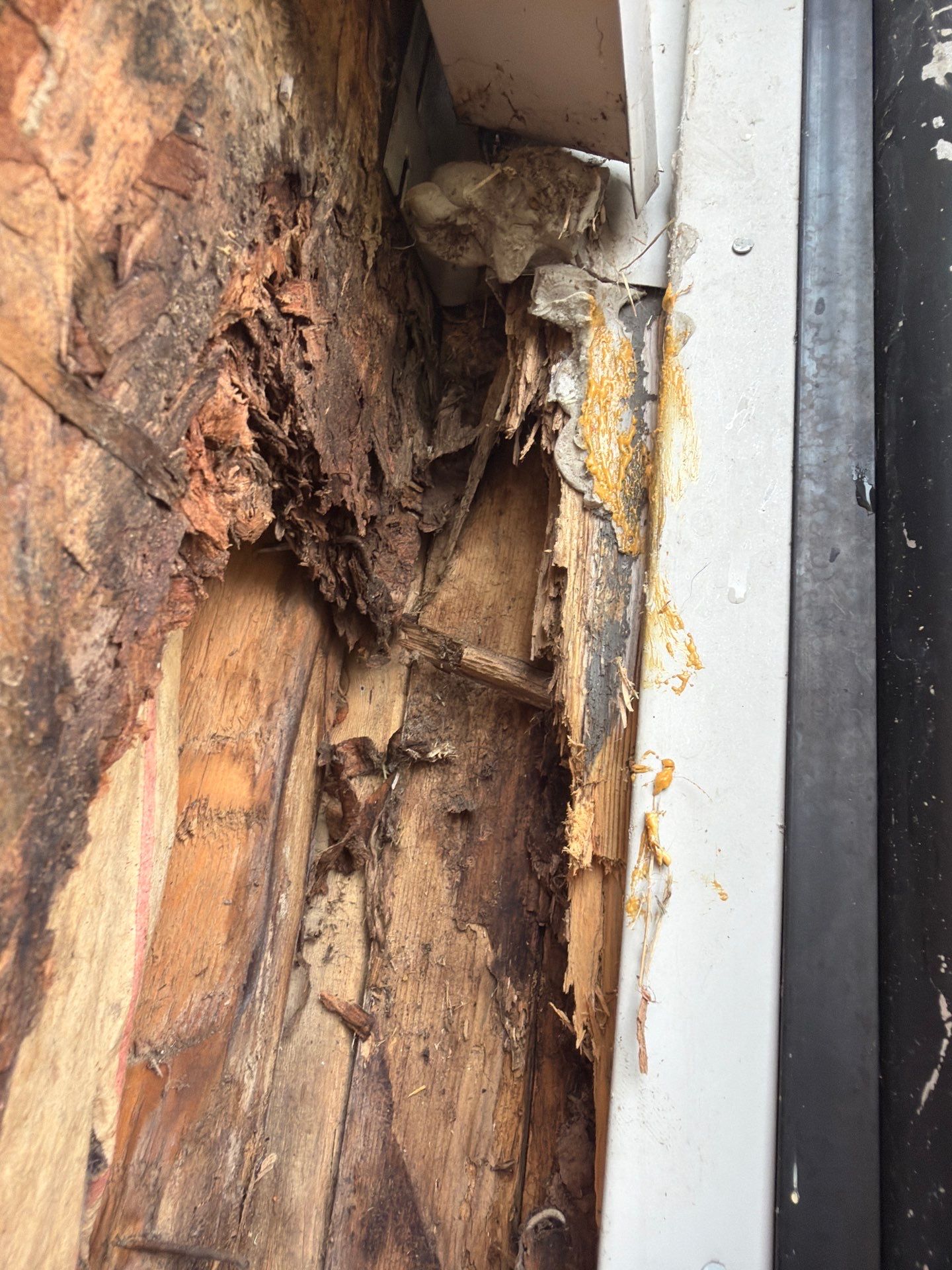 Siding Replacement using Wood Grain by 180 Contractors
