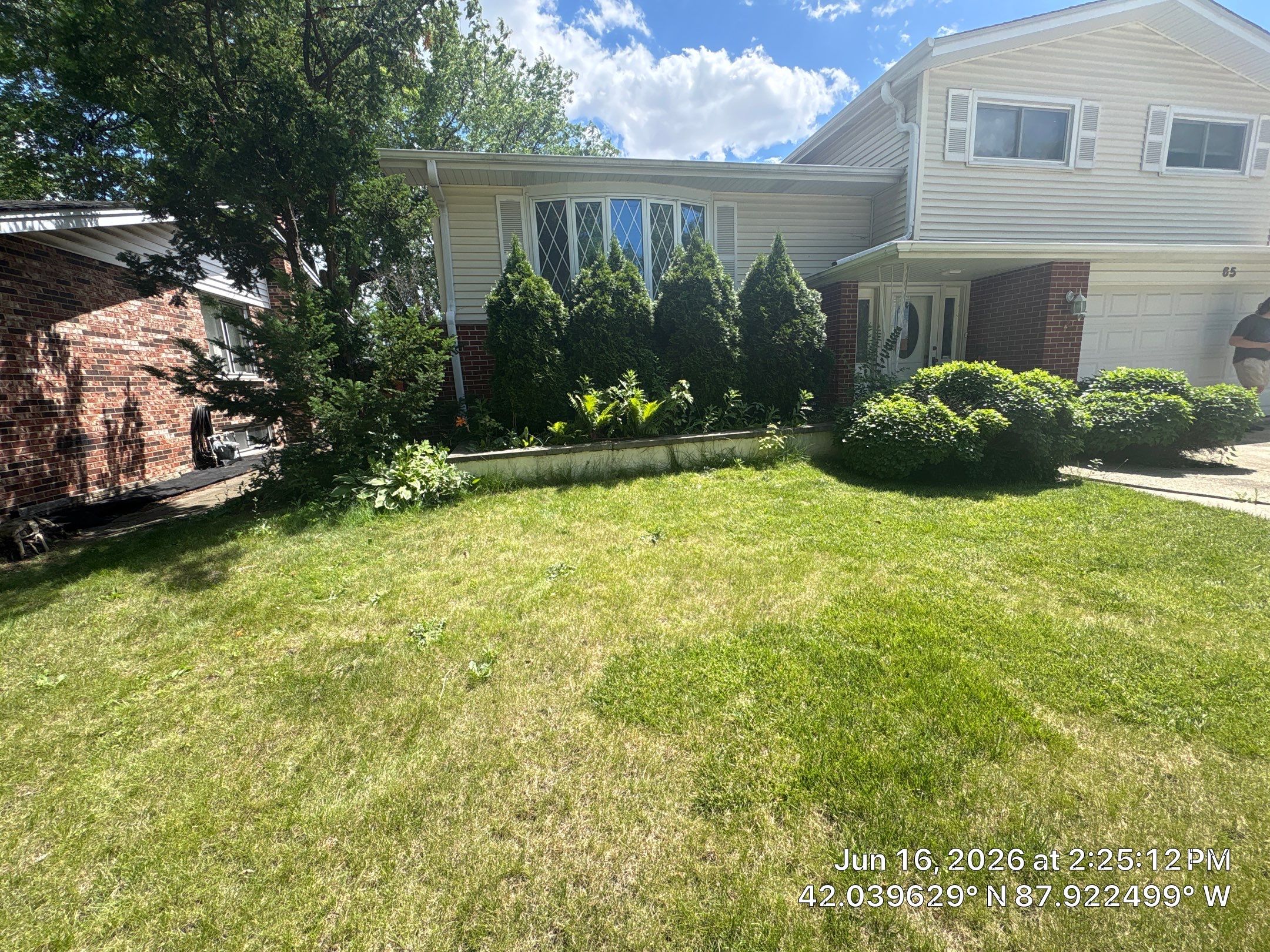 Joanna Z. - Des Plaines, IL by A&N 