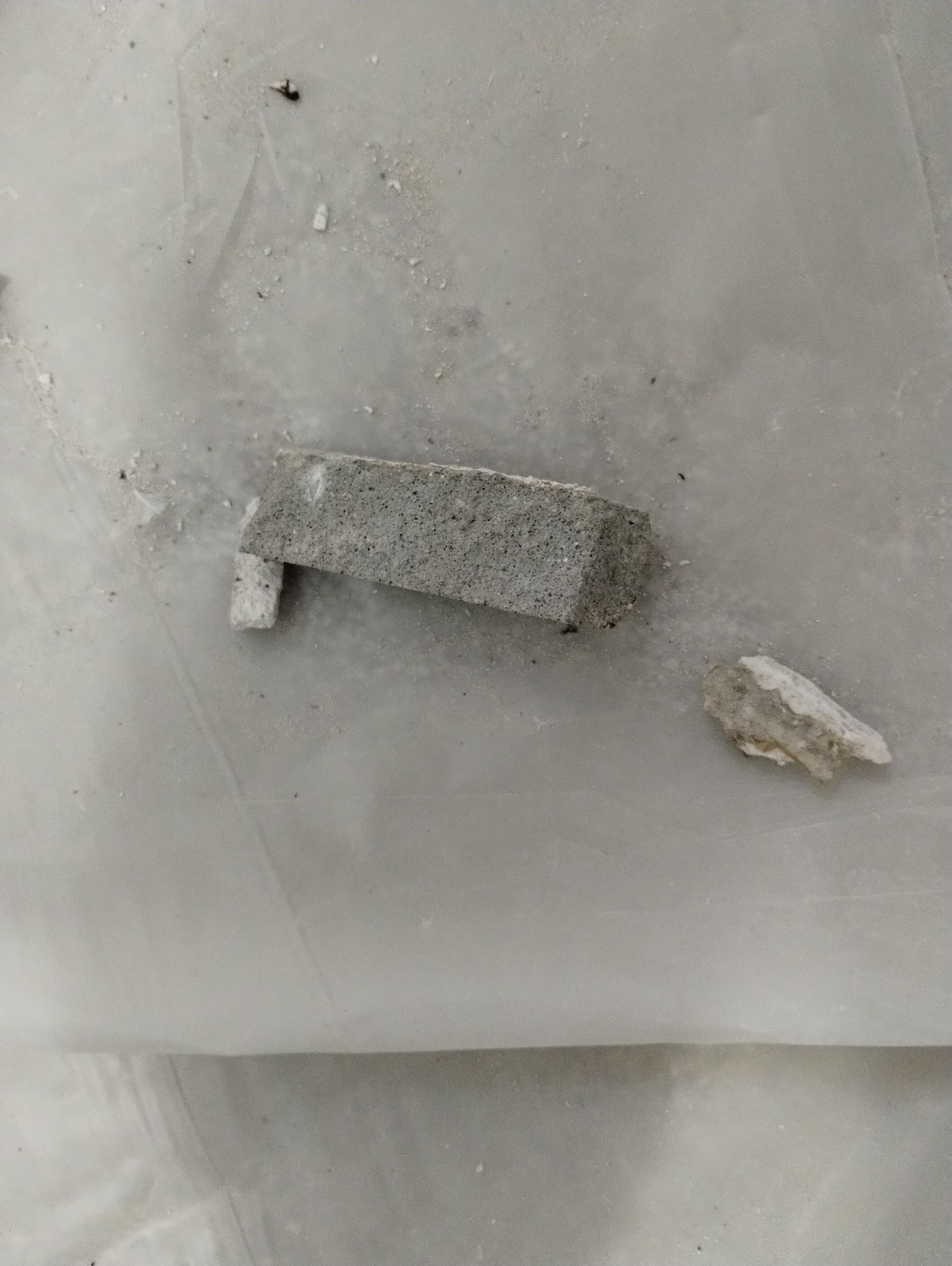 Mold Damage Repairs by Accountable Home Services