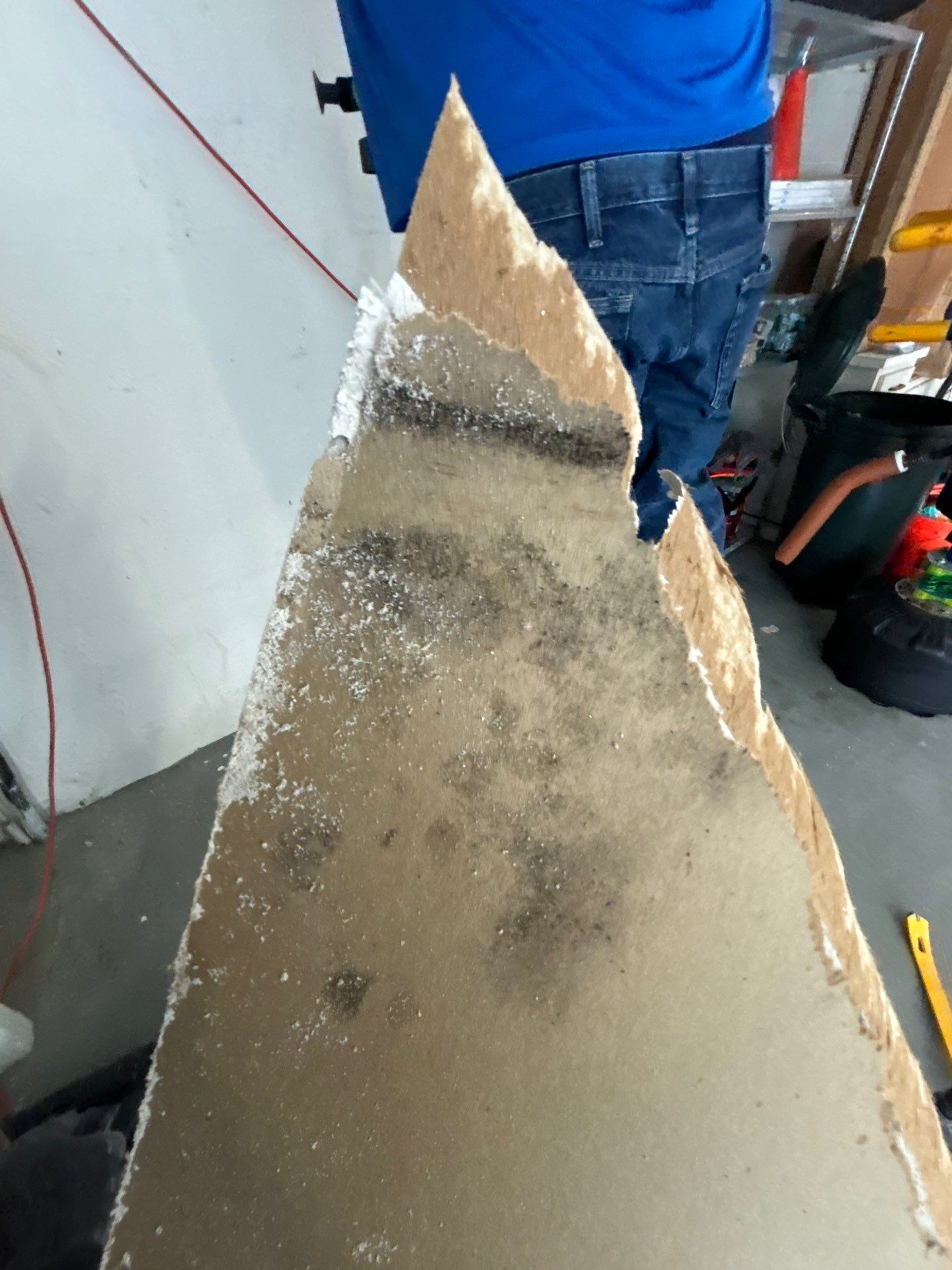 Treasure Island Restoration by Ampm Restoration Services