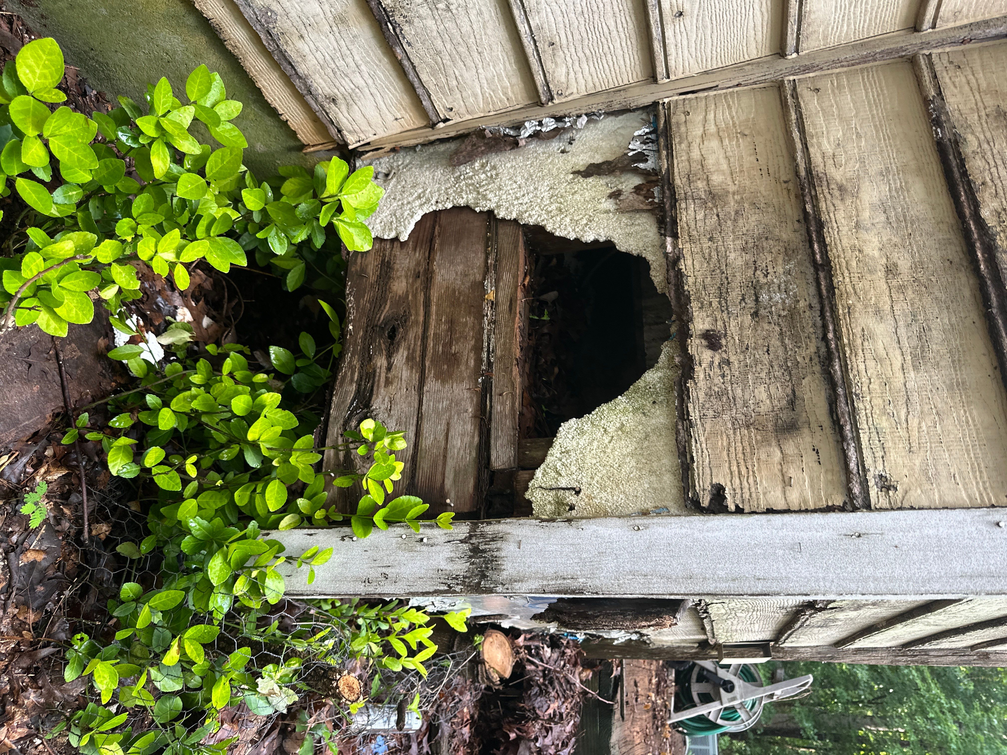 Dallas, GA Siding Replacement, Exterior Painting, and Gutter Install by Nelson Exteriors 