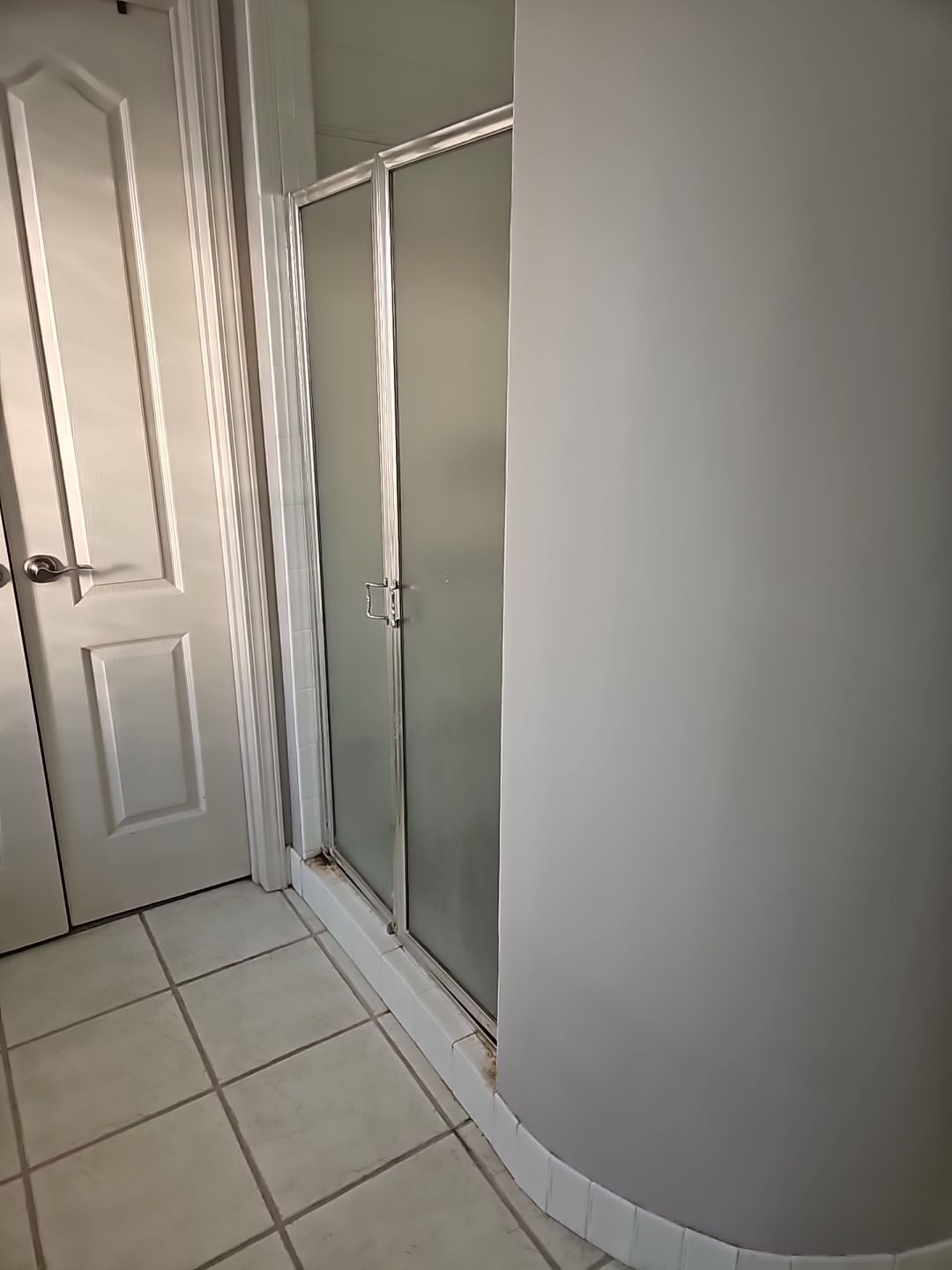 Full bathroom with giant shower AND doggy shower by The Shower Company