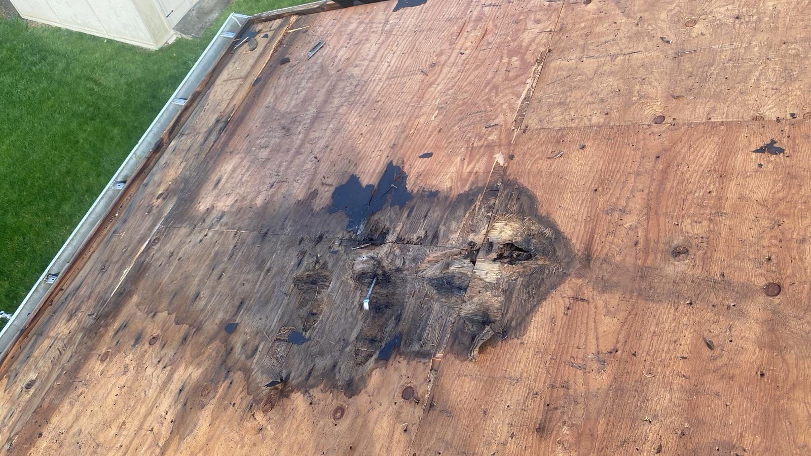 Silver Birch Shingles by Reimagine Roofing