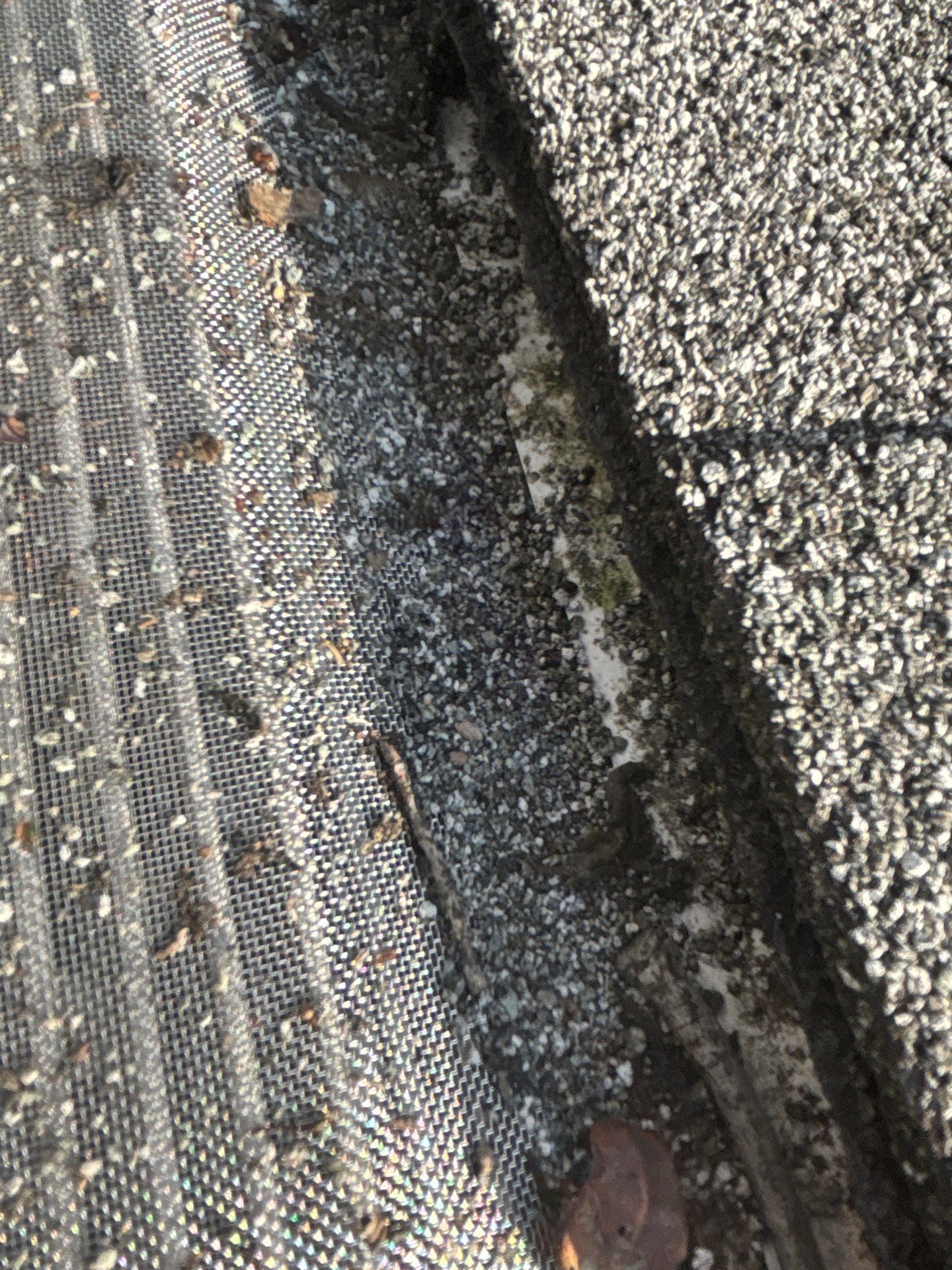 Project in Richmond by Roof Maxx of Midlothian