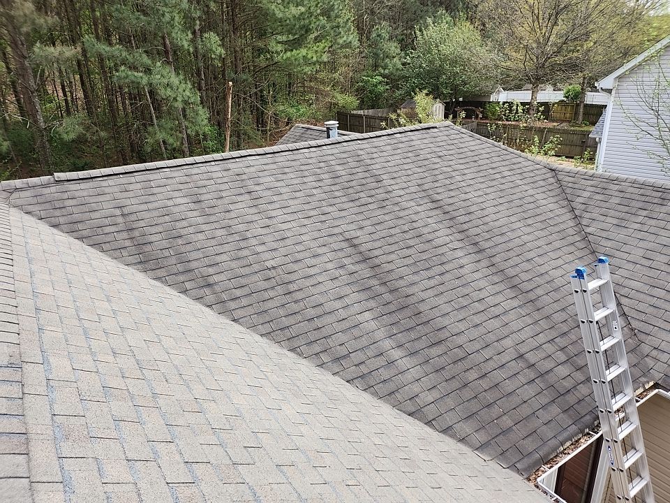 When a Tree Falls on your Roof!  by Georgia Roof Advisors
