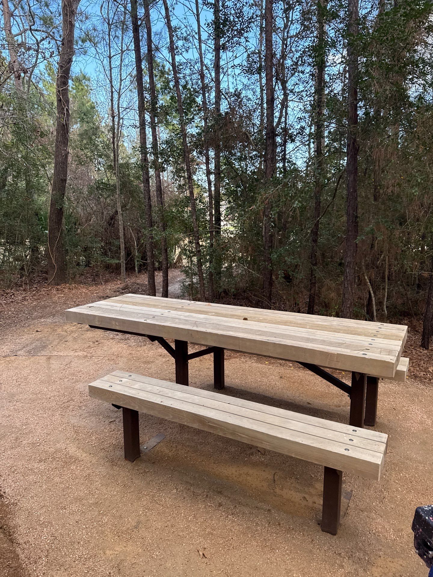 Clean and Stain Picnic Tables and Park Benches by Cypress Curb Appeal Services