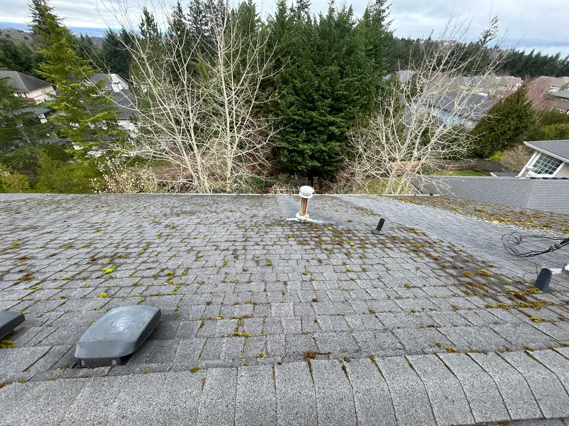 Project in Bellevue by Peaks and Valleys Construction
