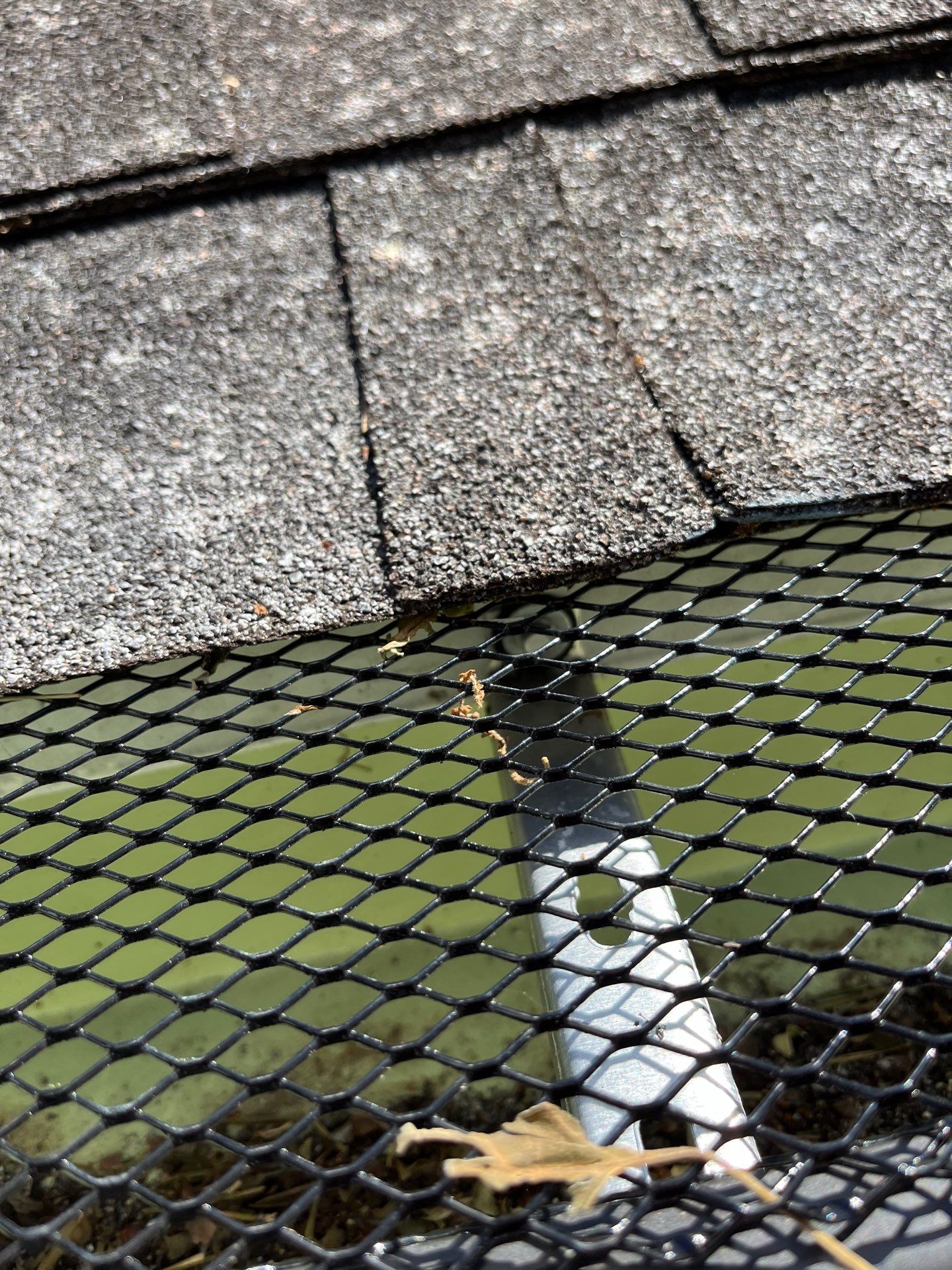 Residential Roofing Installation using Malarkey Vista Impact Resistant by Roof Concepts Construction