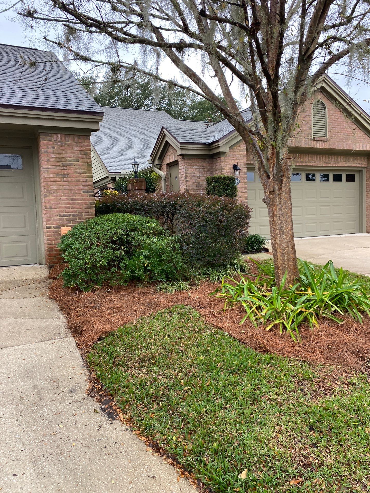 Deerwood Pointe | Tree Removal & Pine Straw Installation by ProGreen Services