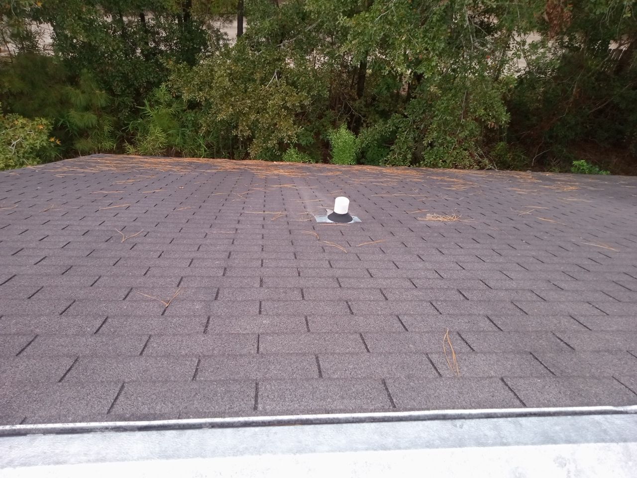 Residential Roofing Repair using Atlas Pinnacle Pristine Tan Mist by Talya Roofing