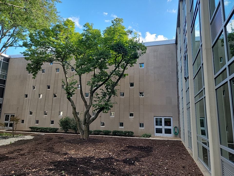 Courtyard pressure washing difficult access.  by Northern Power Washing LLC.