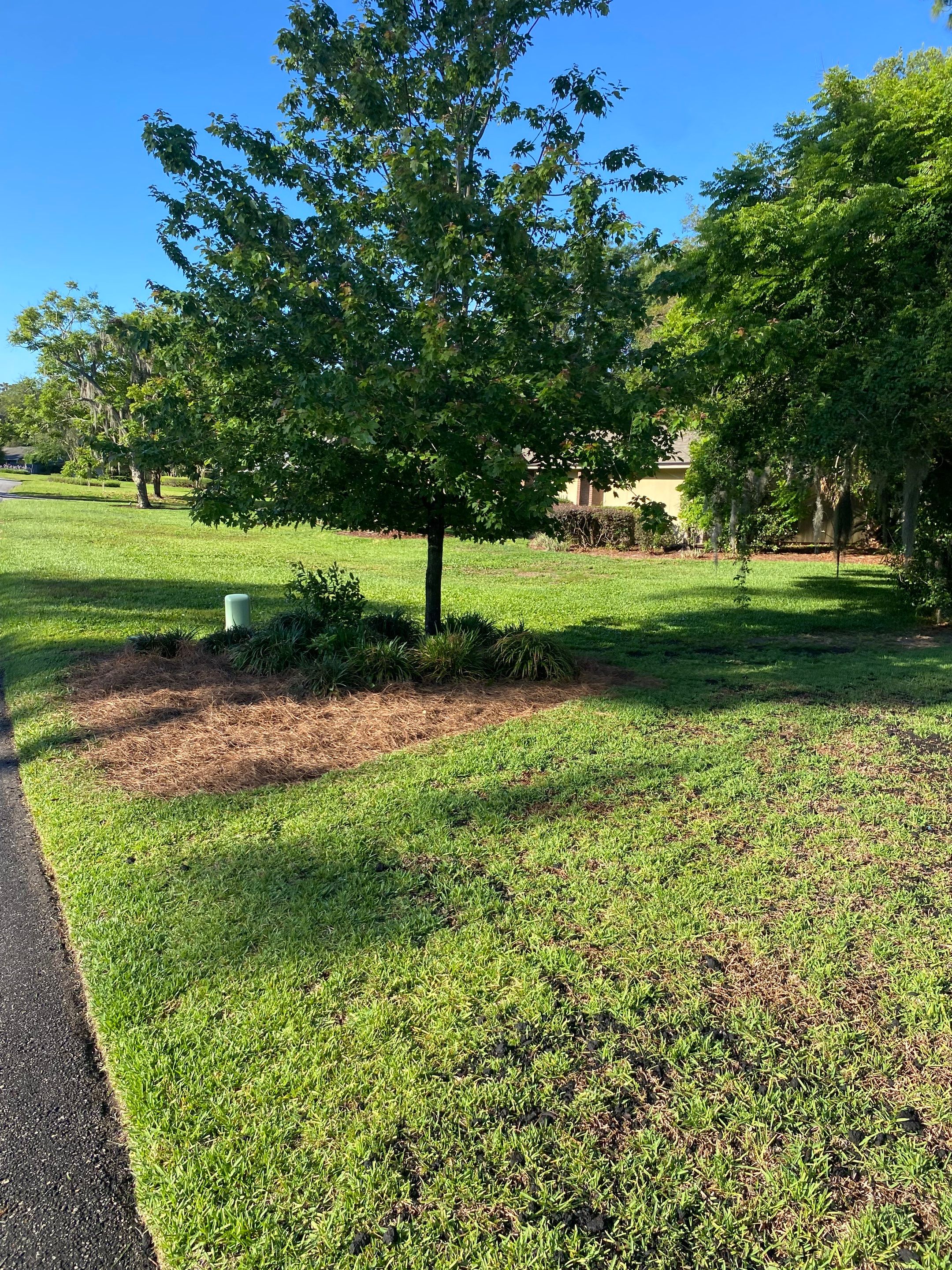 Deerwood Resident | Pine Straw & Topsoil Install by ProGreen Services