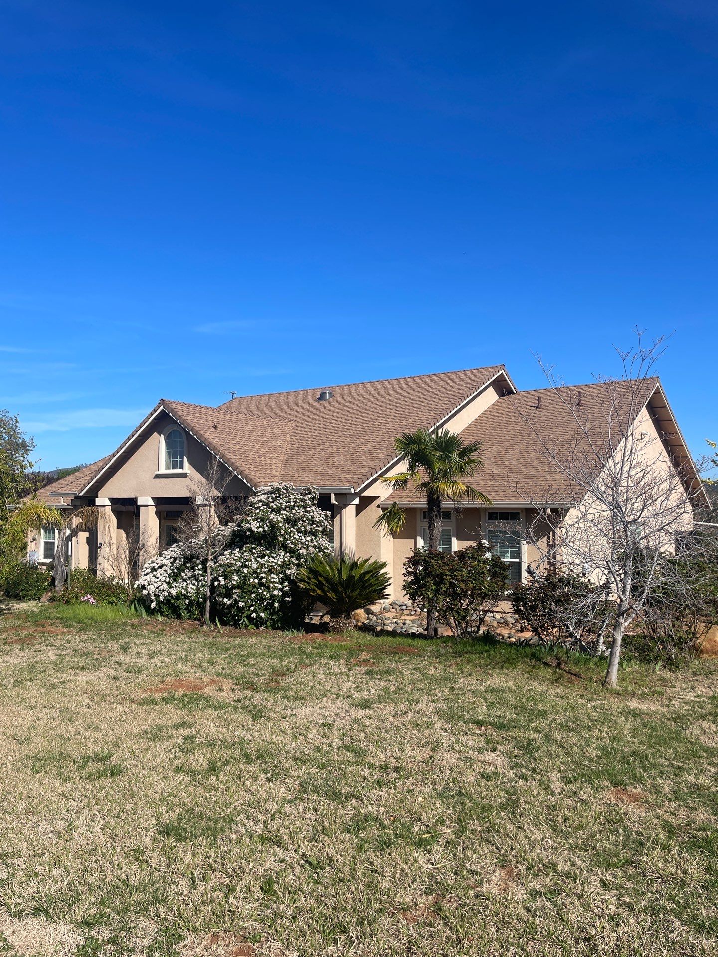 Paradise Shingle by Butte Roofing Company License #567600