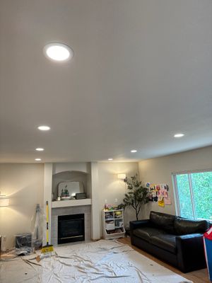 Redmond Living Room Lighting Upgrade