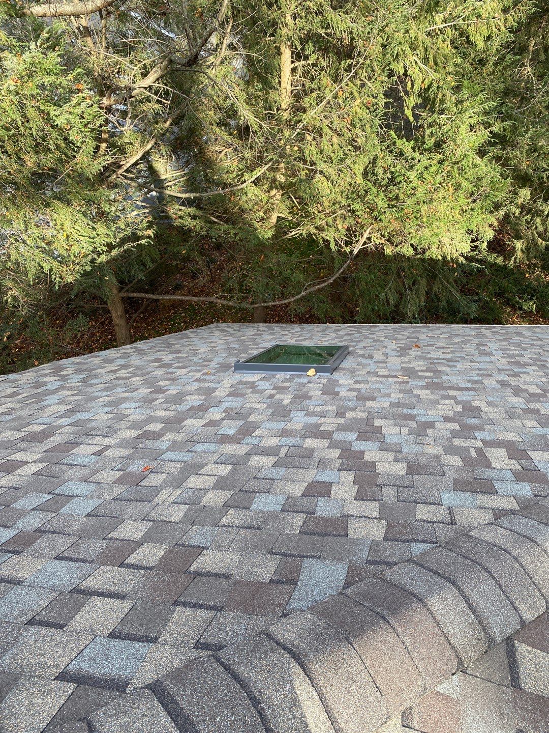 Install new shingles and new skylights  by Alpha Design Services