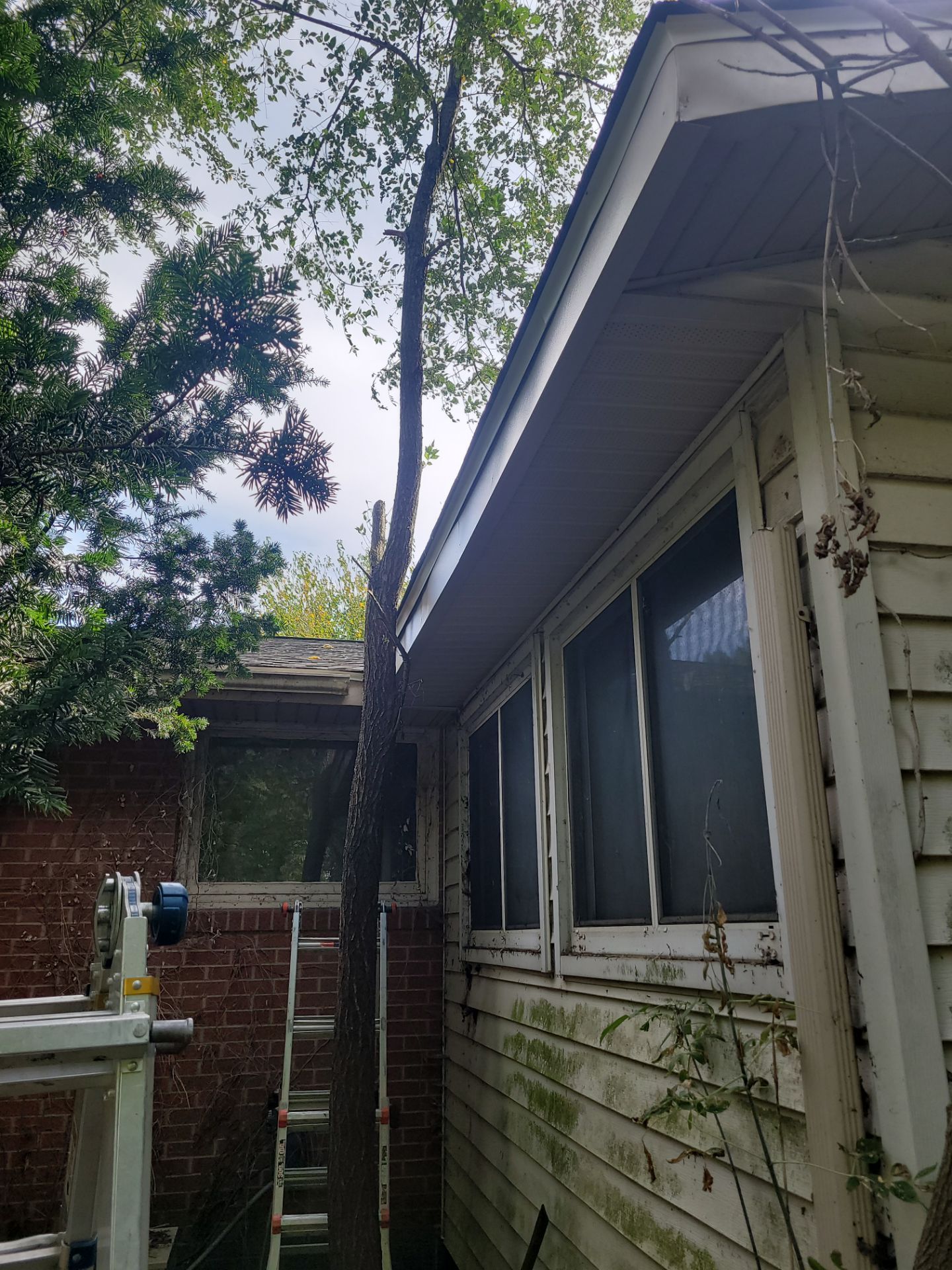 Dena Beitzel by Silver Leaf Contracting 