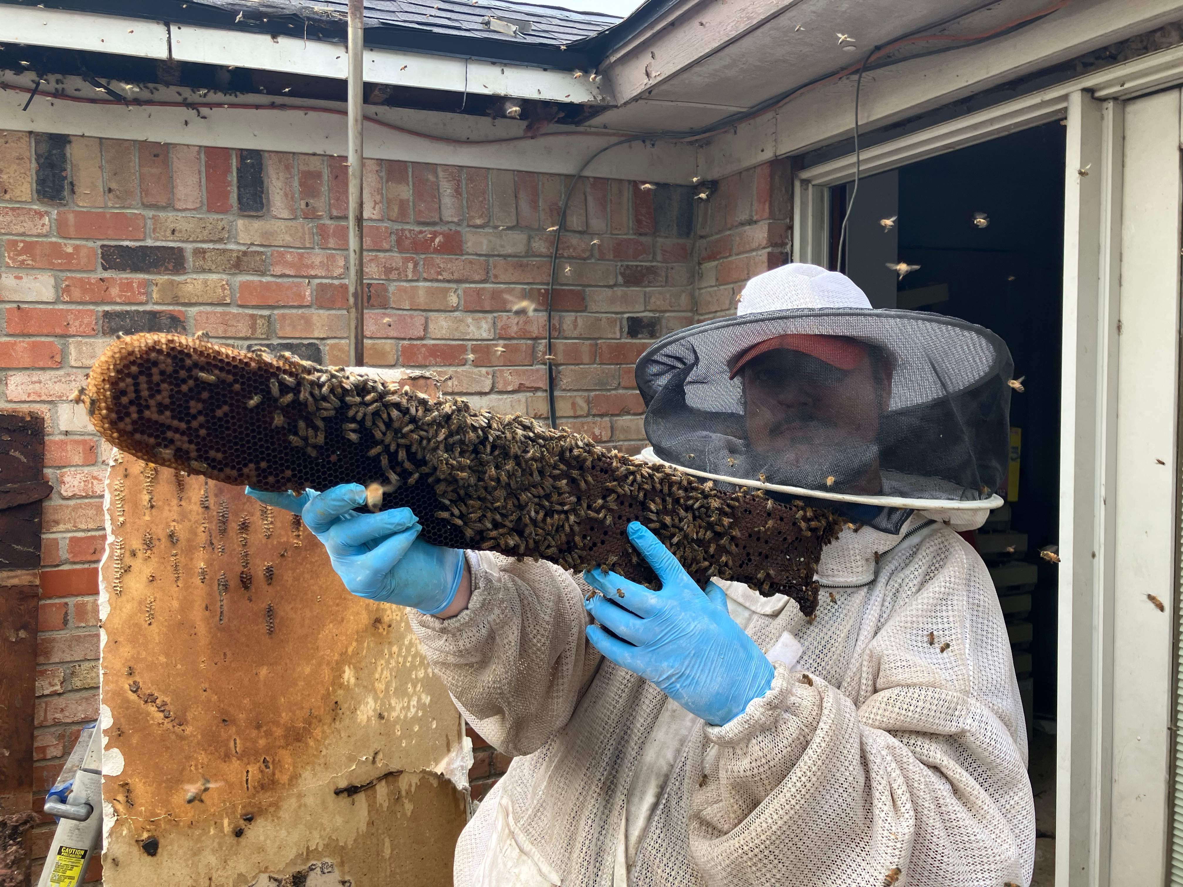 Improper Repair by Rockwall Honey Bee Company
