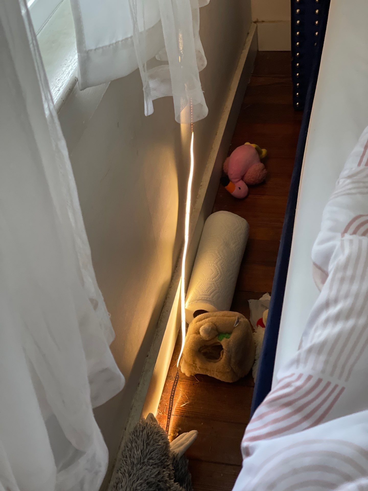 Project in Warwick by Mg House Cleaning Services