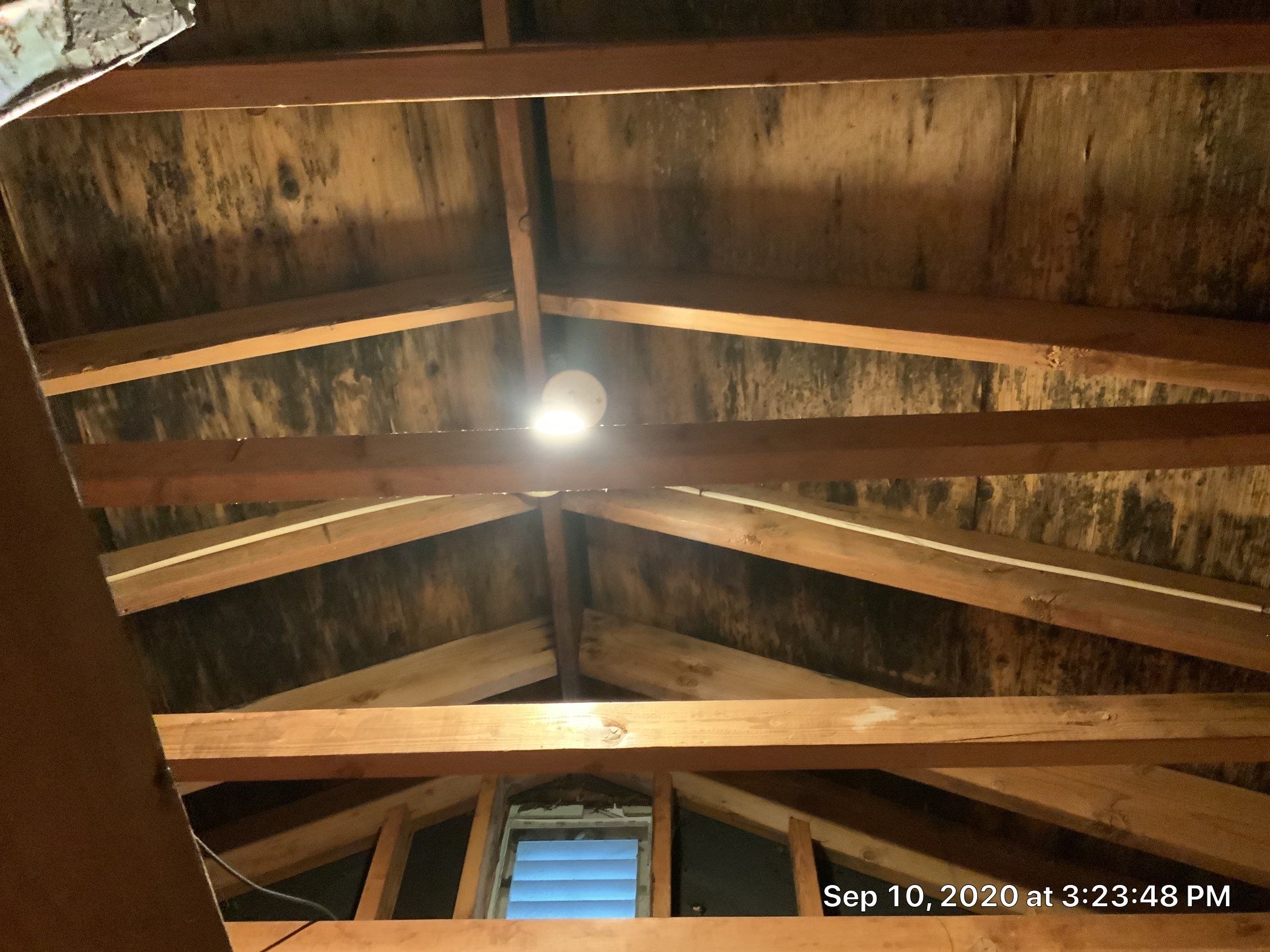 Attic Mold Remediation Job in Vernon Township, NJ by Pure Service Pro, LLC 