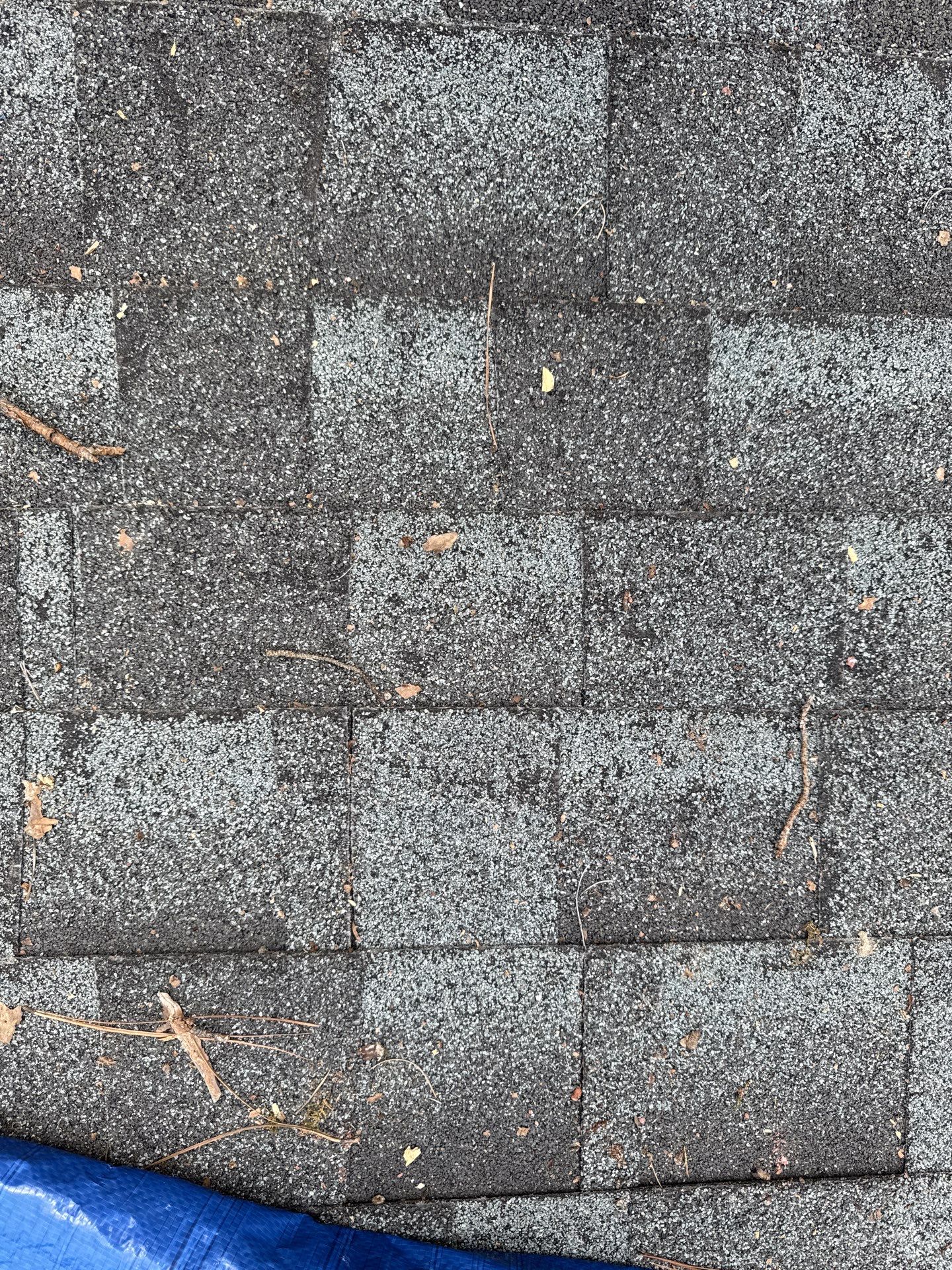 The Scarboroughs by United Contracting and Roofing
