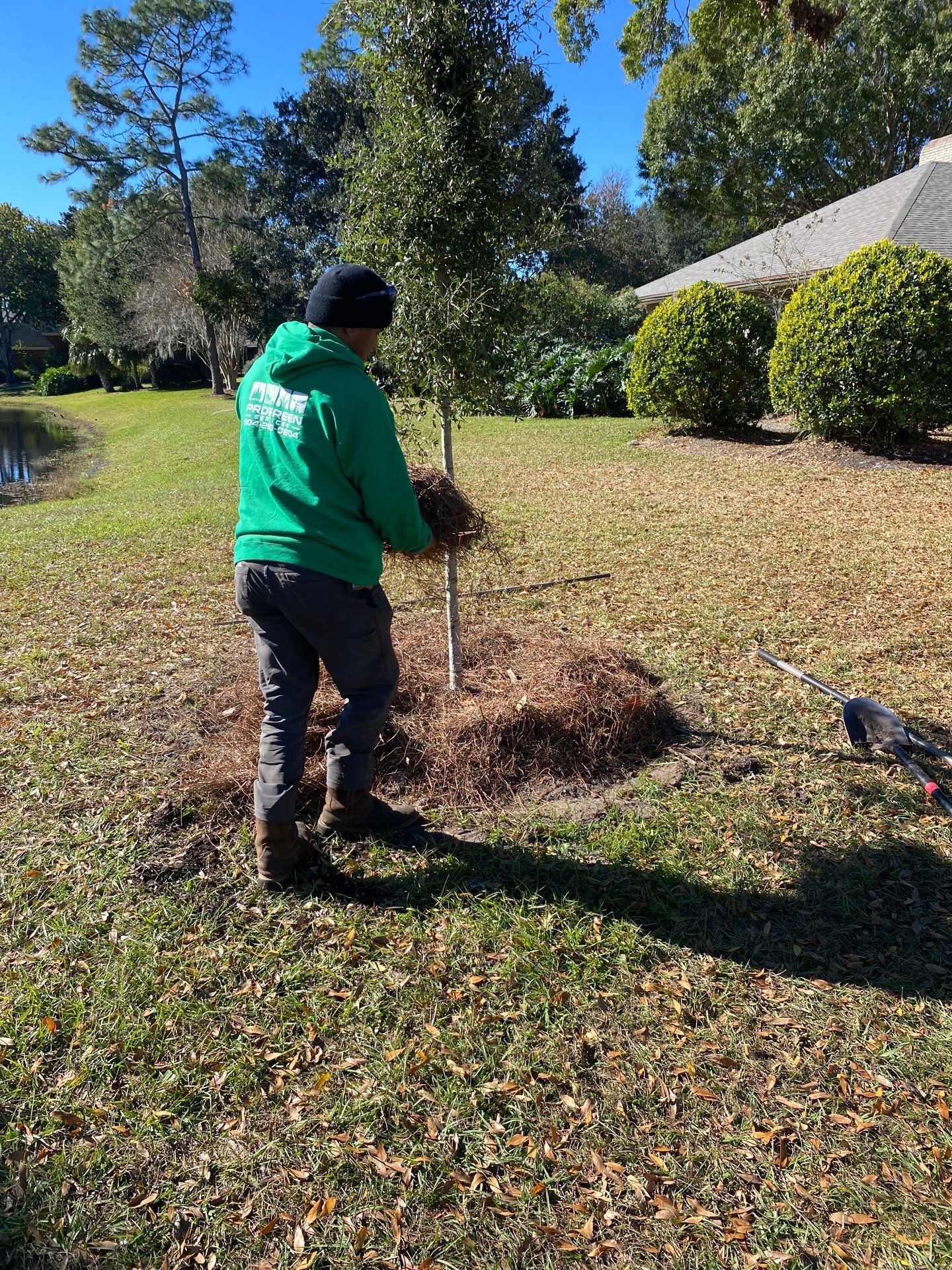 Deerwood Community | Oak Tree Replacement Project by ProGreen Services