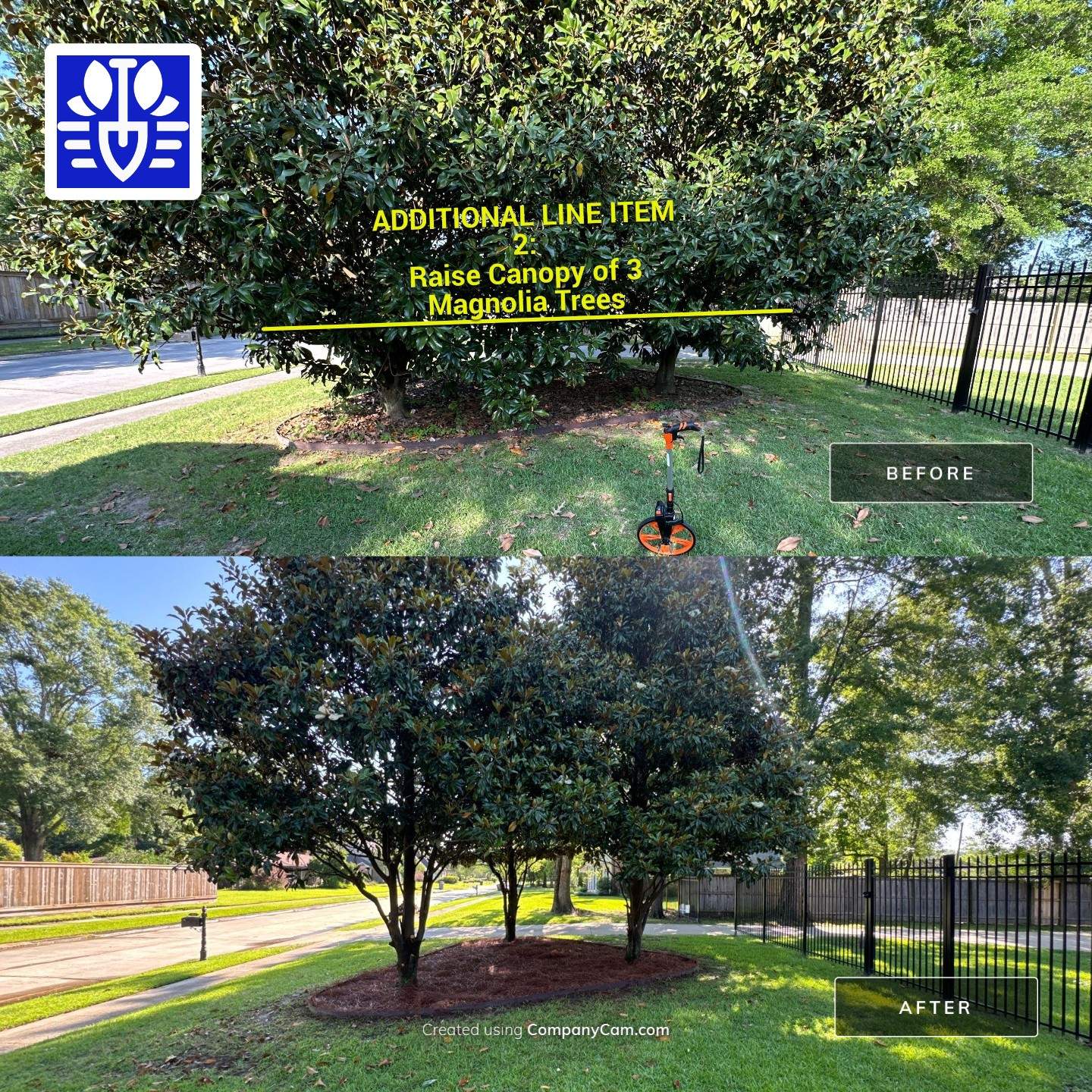 RESIDENTIAL LAWN, MAINTENANCE AND LANDSCAPING by CutScape, LLC.