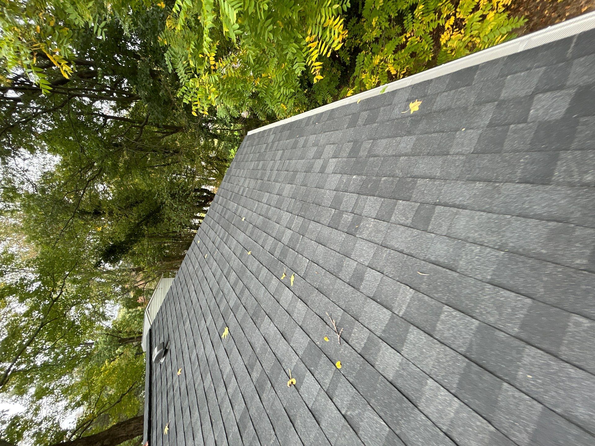 Burke : Residential Roof Replacement with CertainTeed Landmark Pro in Max Def Charcoal Black  by RM Banning, Inc.