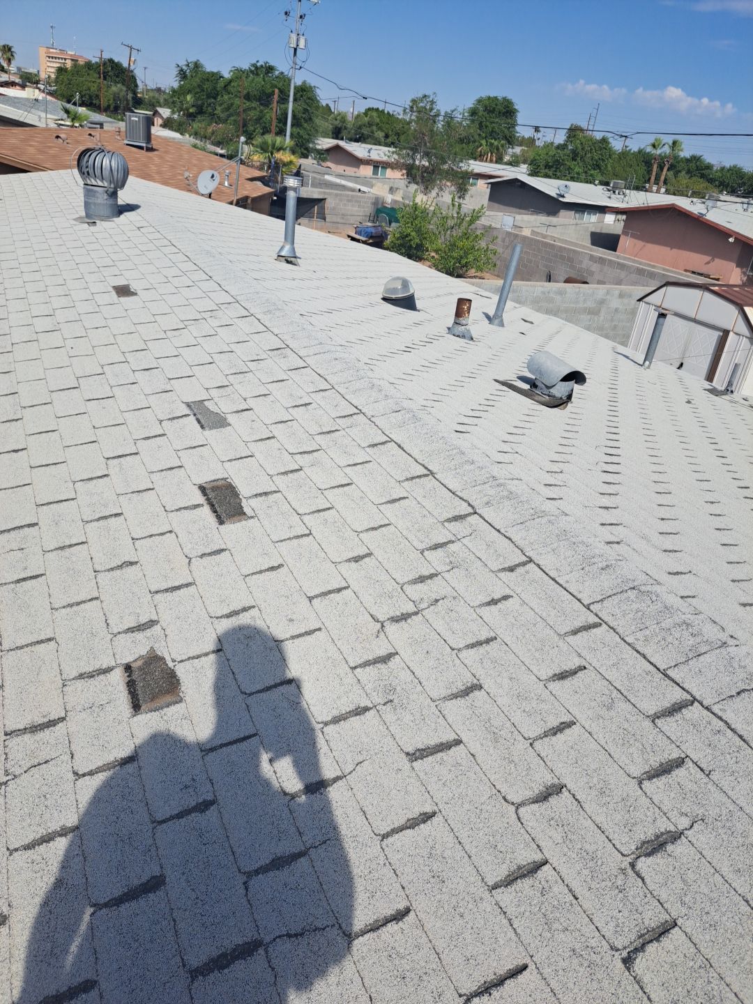 Silver Birch Shingles by Reimagine Roofing