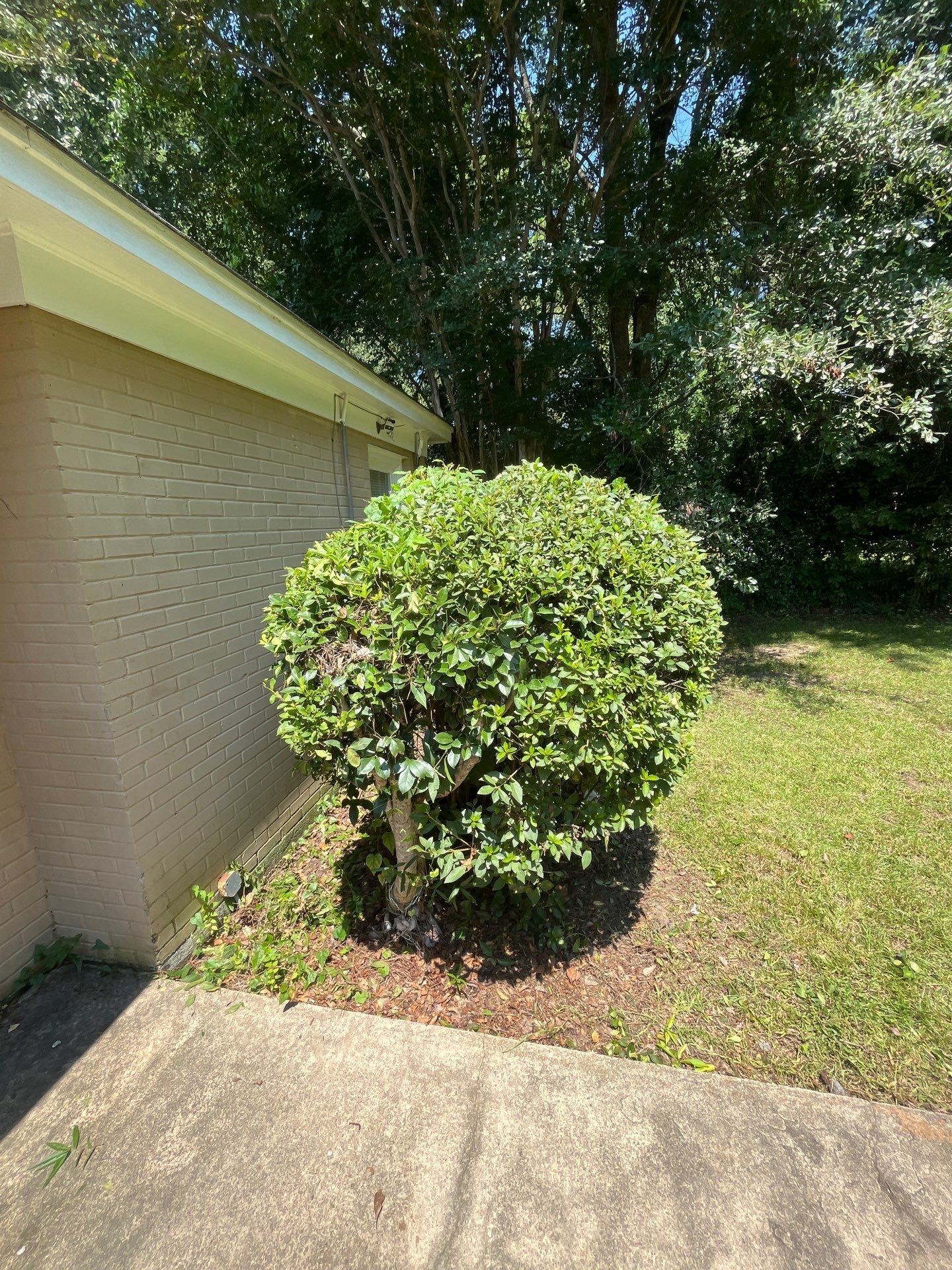 Yard Makeover by College Bros Outdoor services