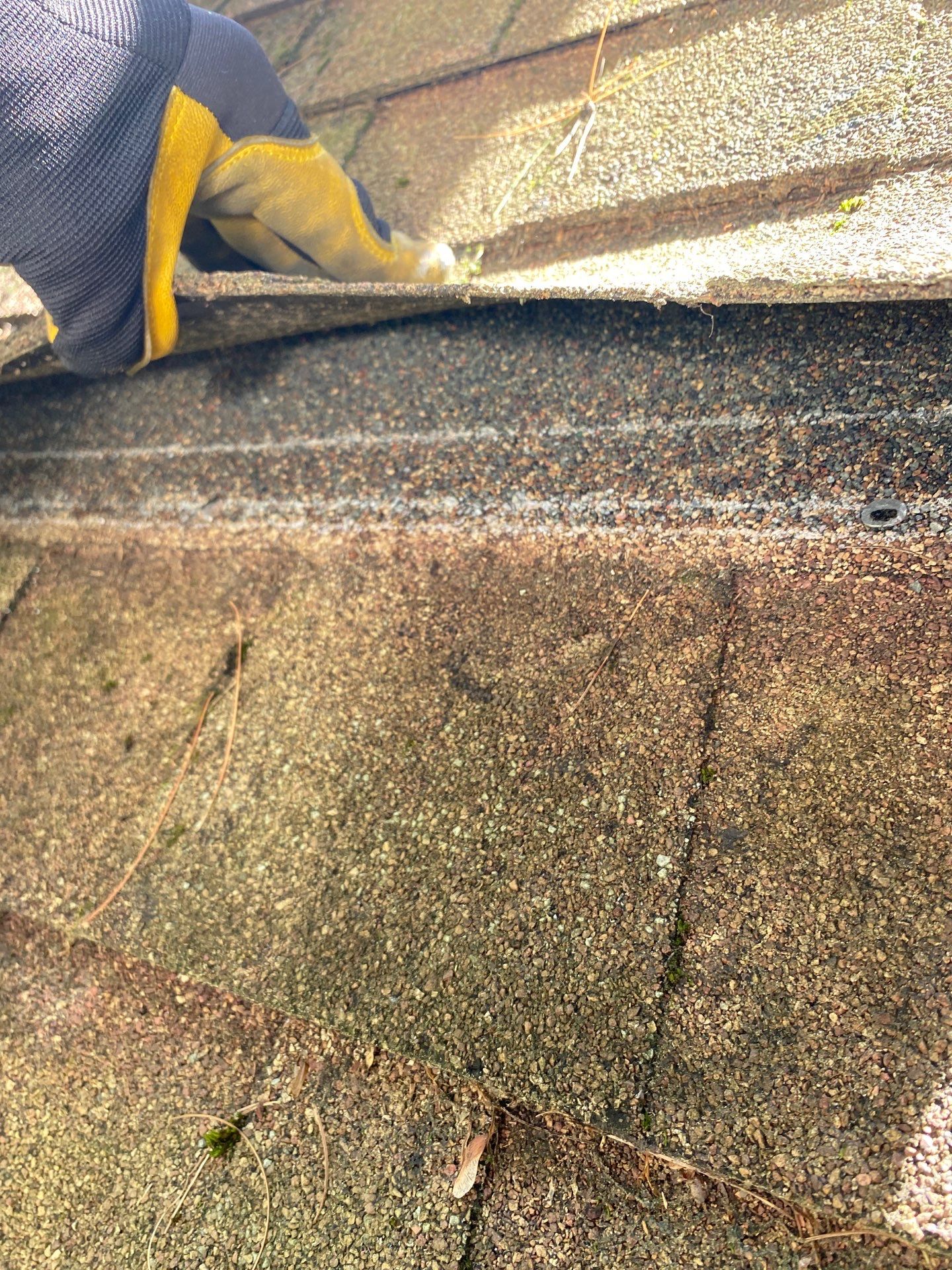 Roof Replacement – Rosalie Brown, MA by Mighty Dog Roofing of Greater Middlesex County