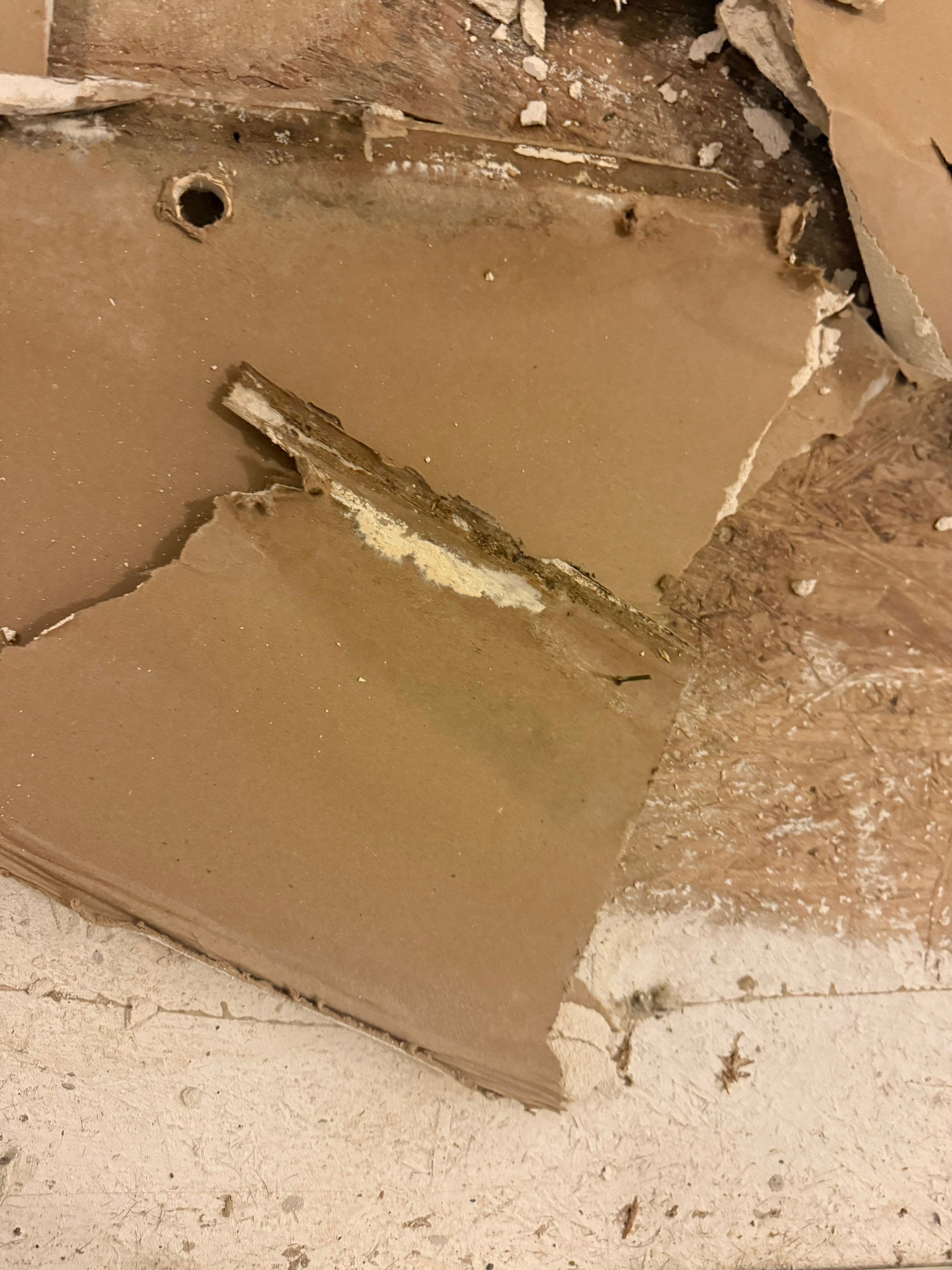 Project in Davenport by You Restorations LLC DBA YOU-Home