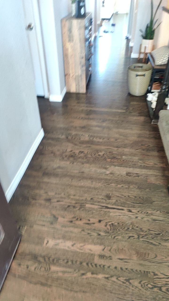 Mold Remediation  by Accountable Home Services