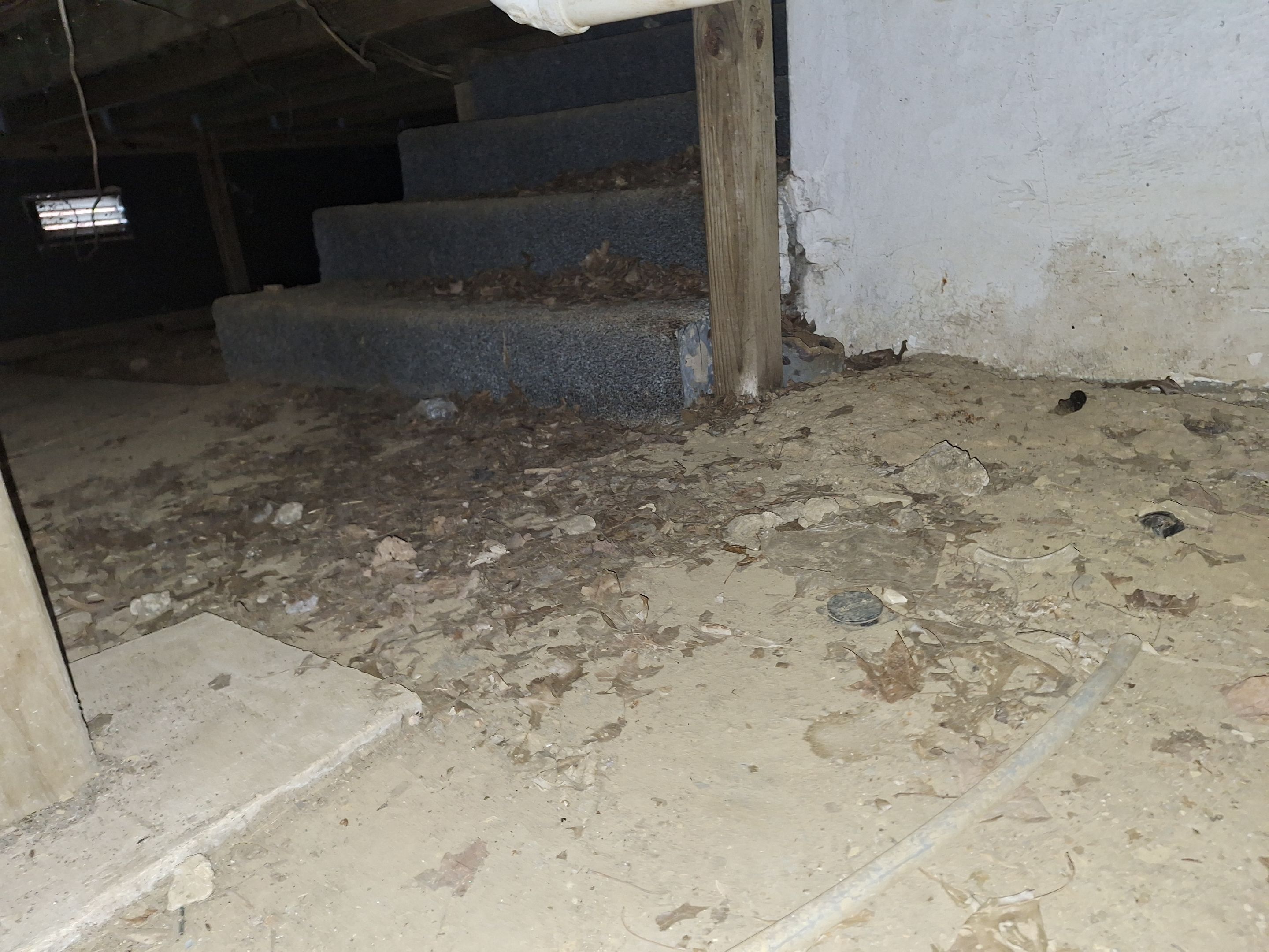 Biohazard Crawlspace by ANR Restoration