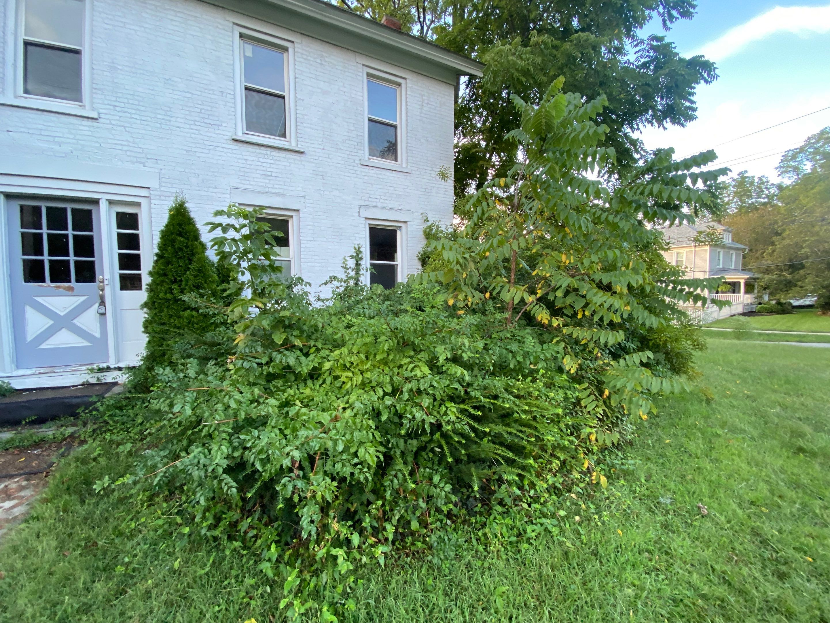 Grounds Maintenance by Elm Rose Gardens